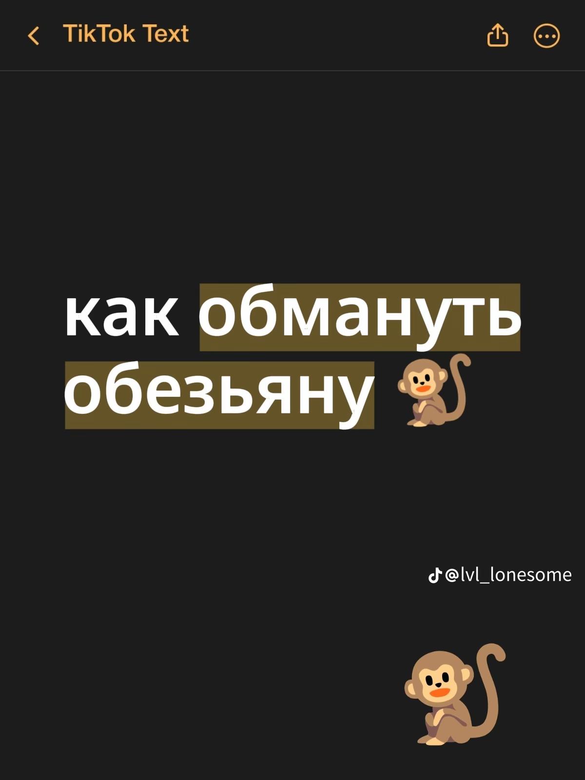 @uli_ana520