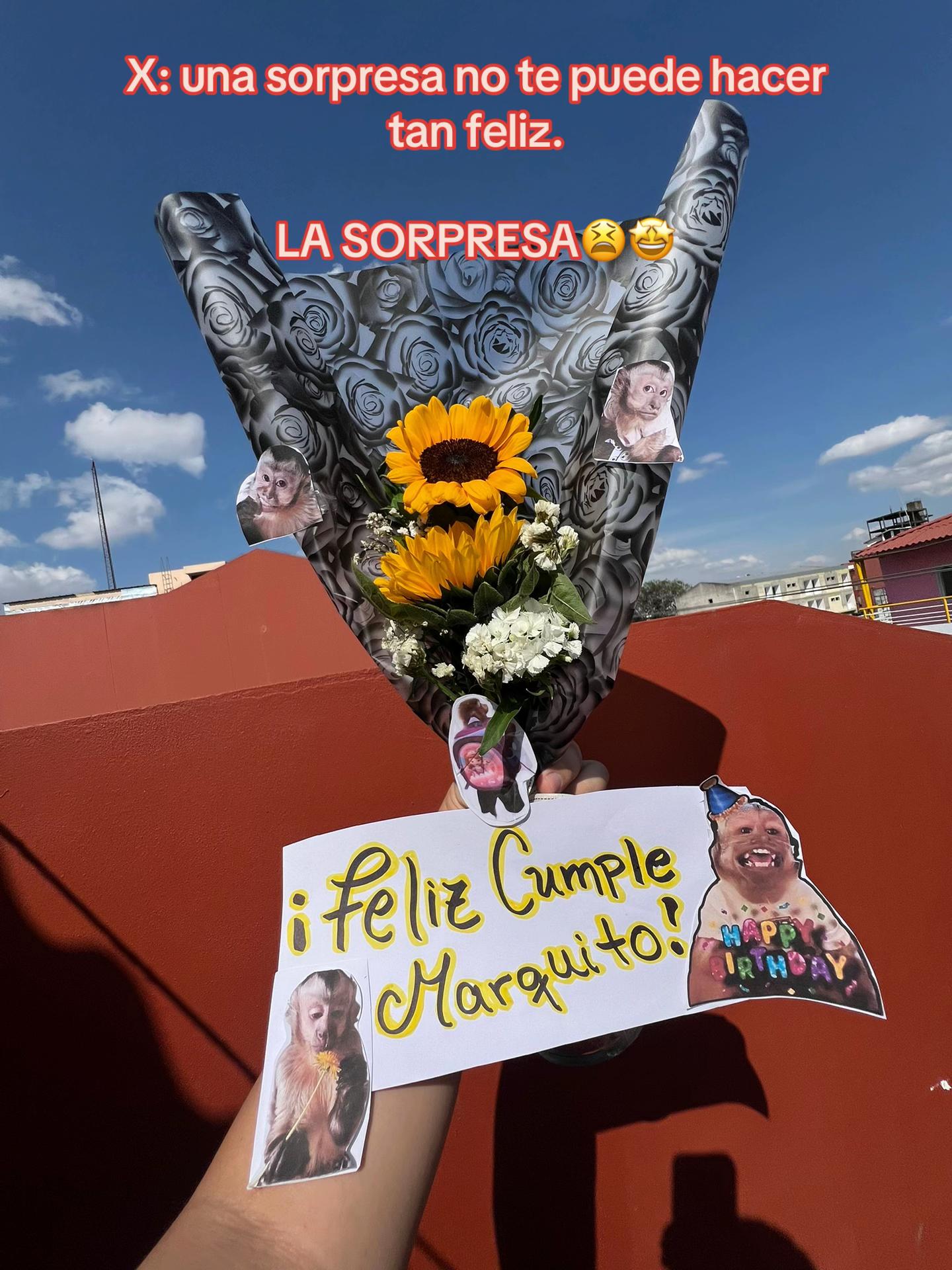 @Marco Saenz Figueroa
