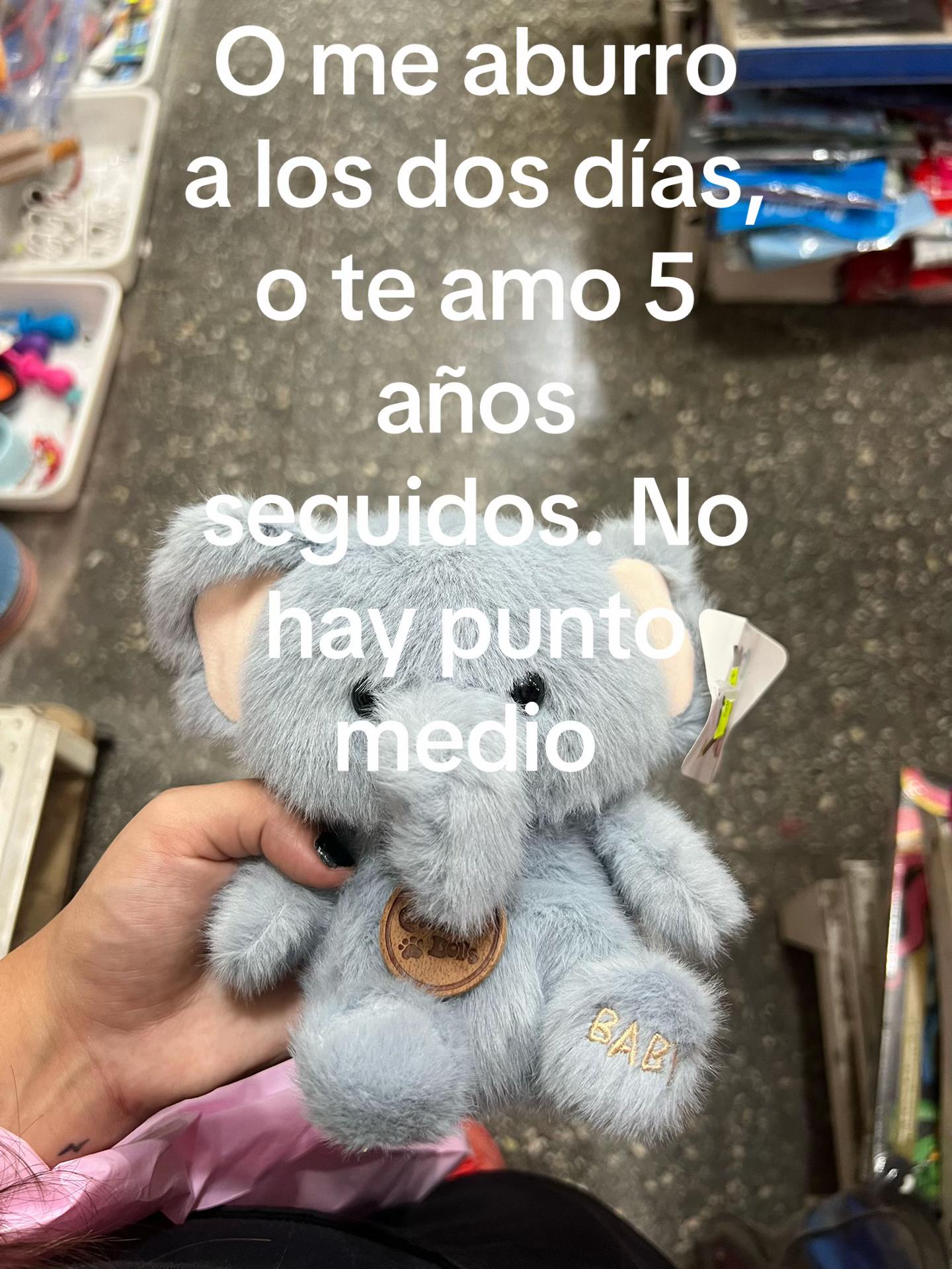 @AMORCHHH