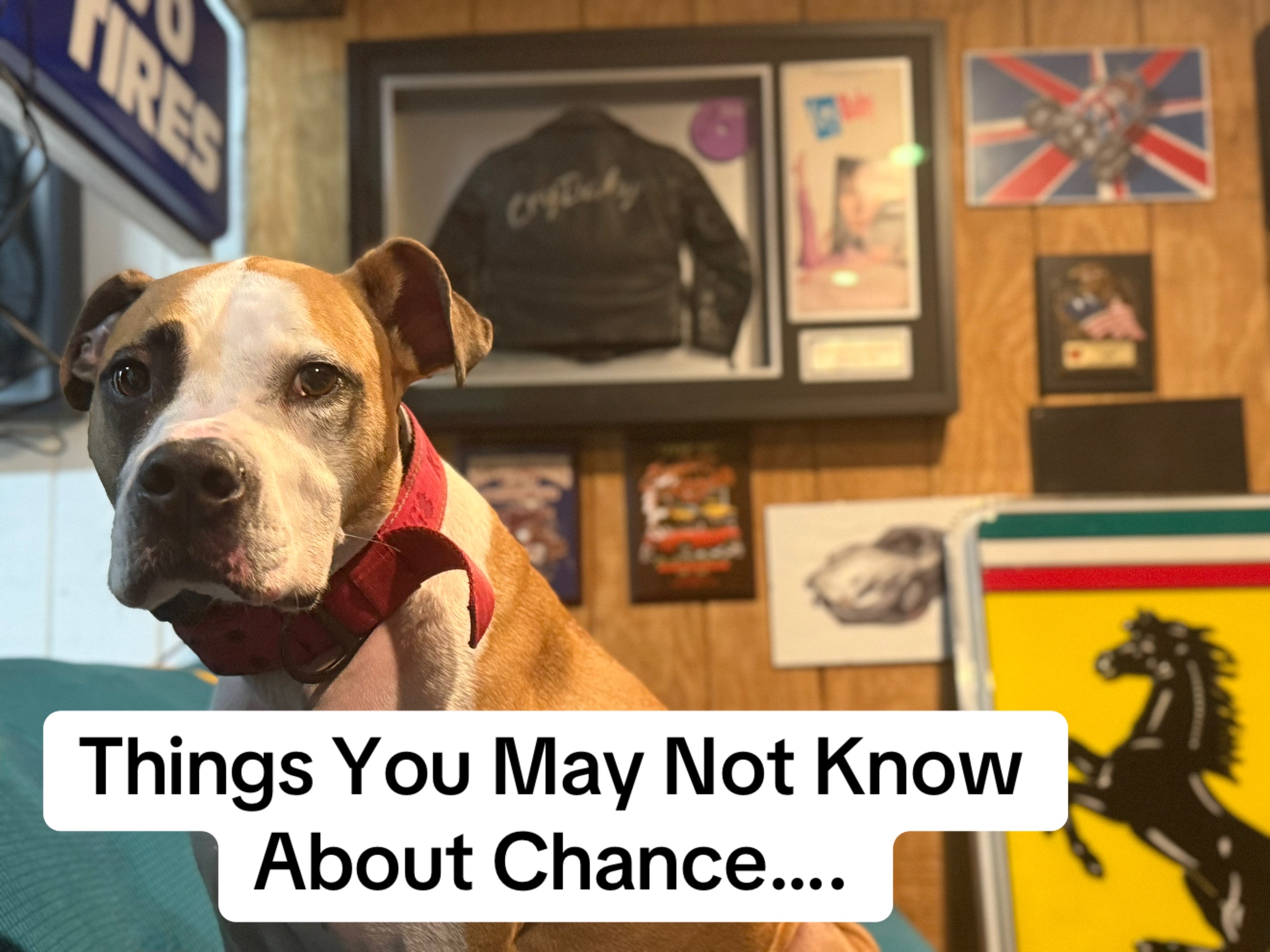 @Chance and Co