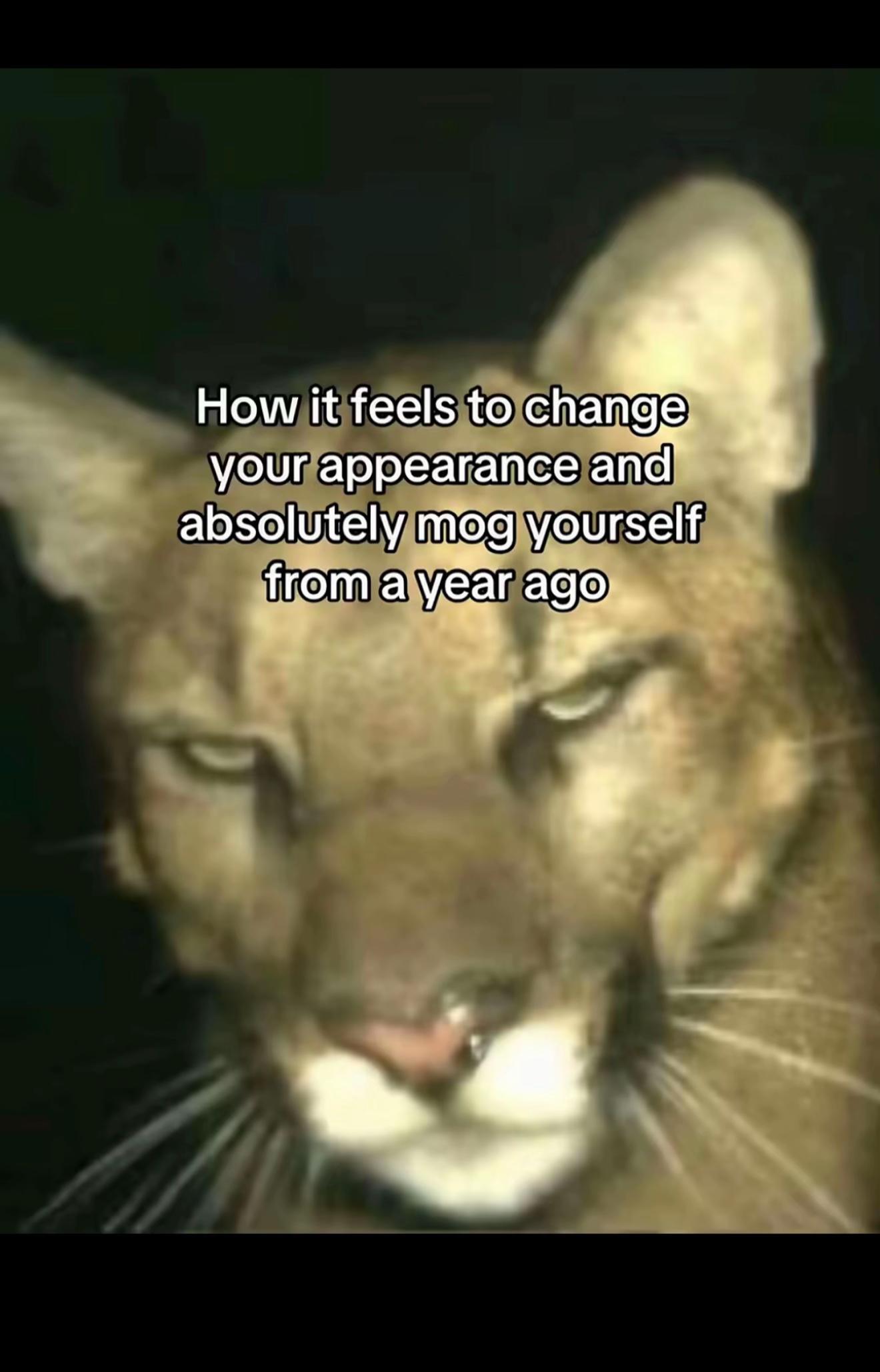 @EC / ONLINE COACH