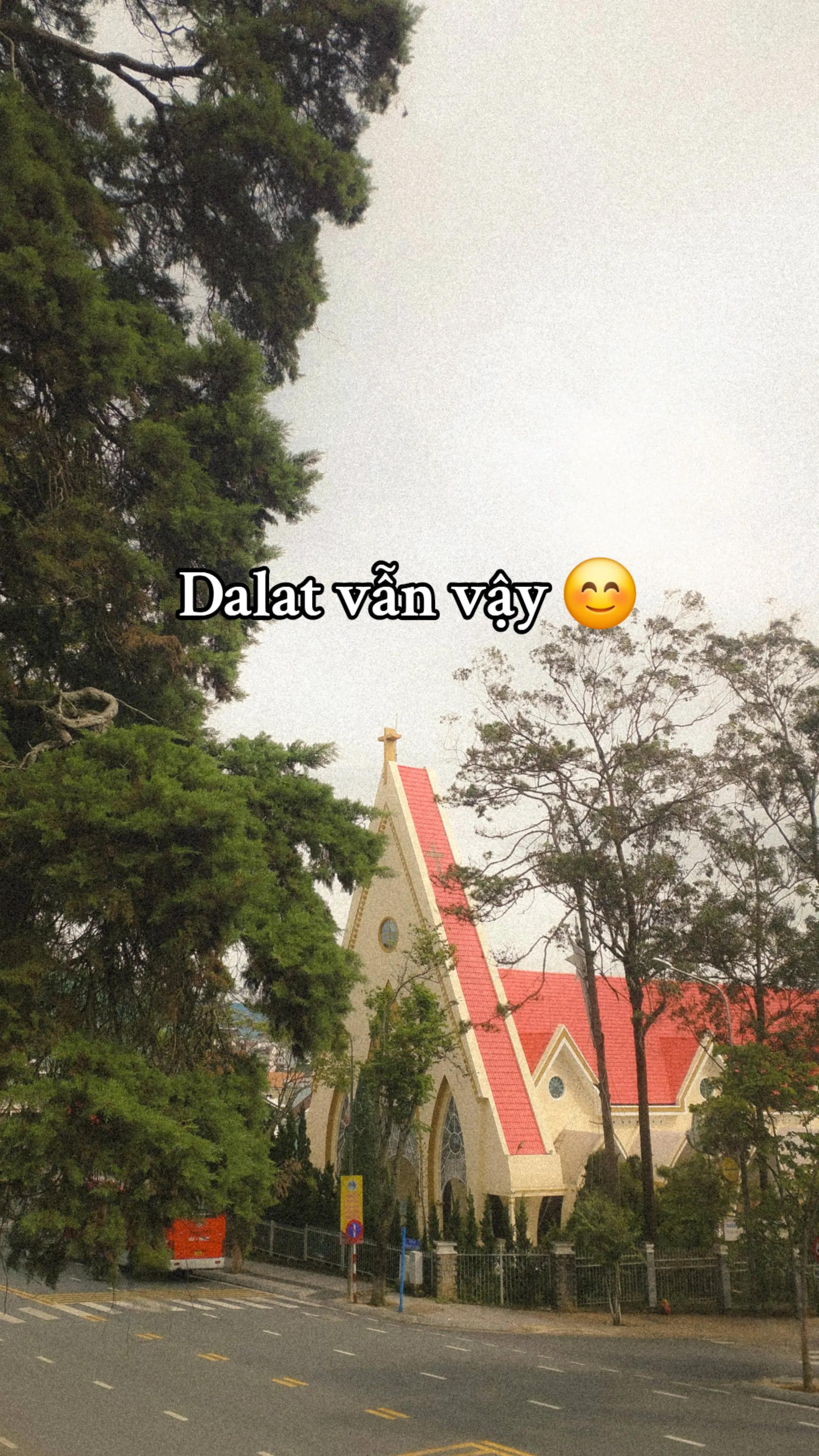 @peaceforyou🌻🌻🌻
