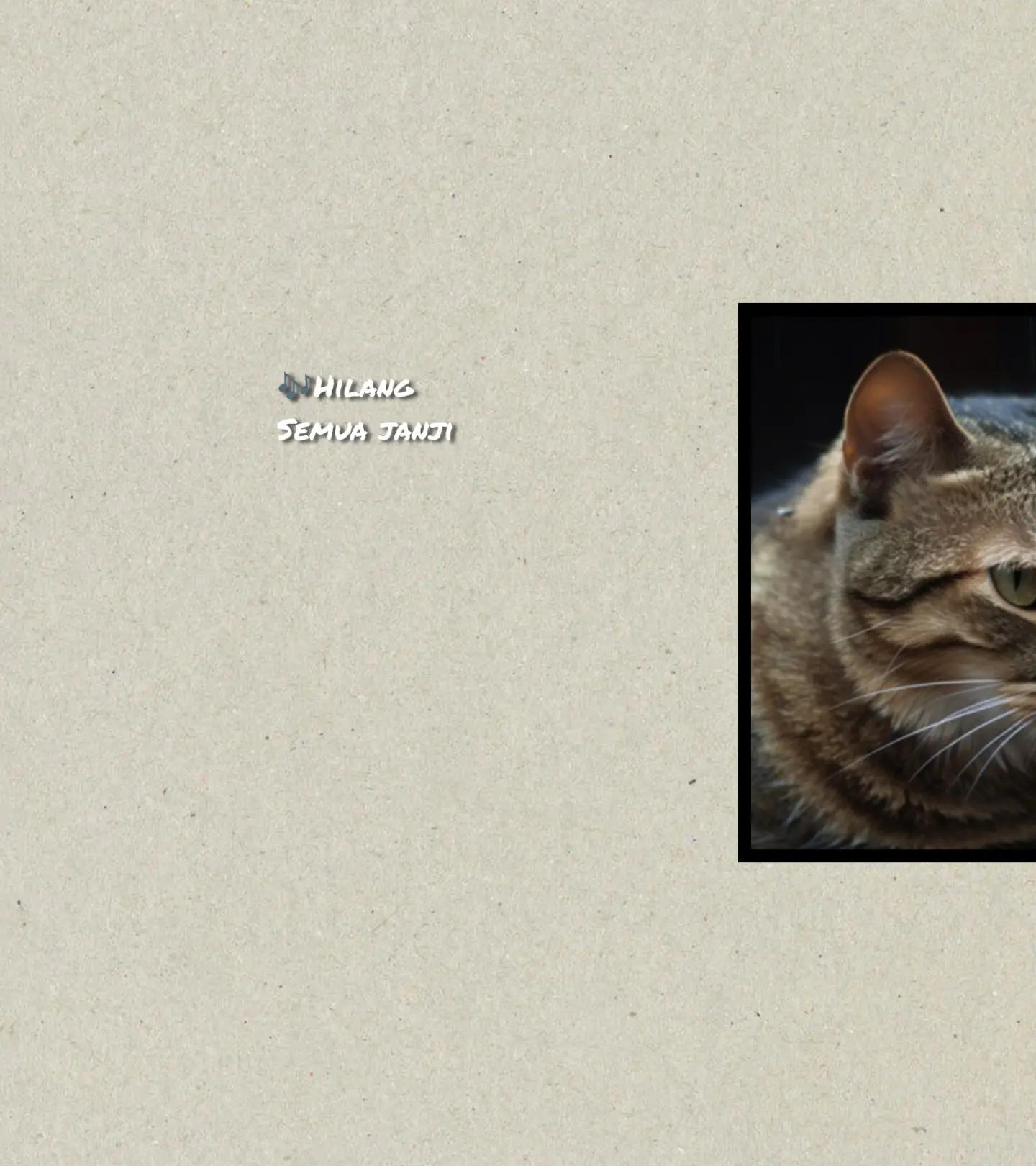@Lirik Lagumu🎶