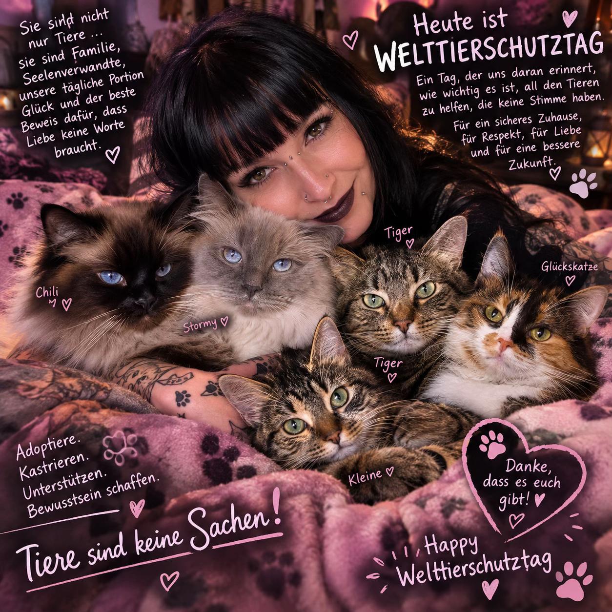 @Fellbande😻 🐾& Dosi Ulrike😽