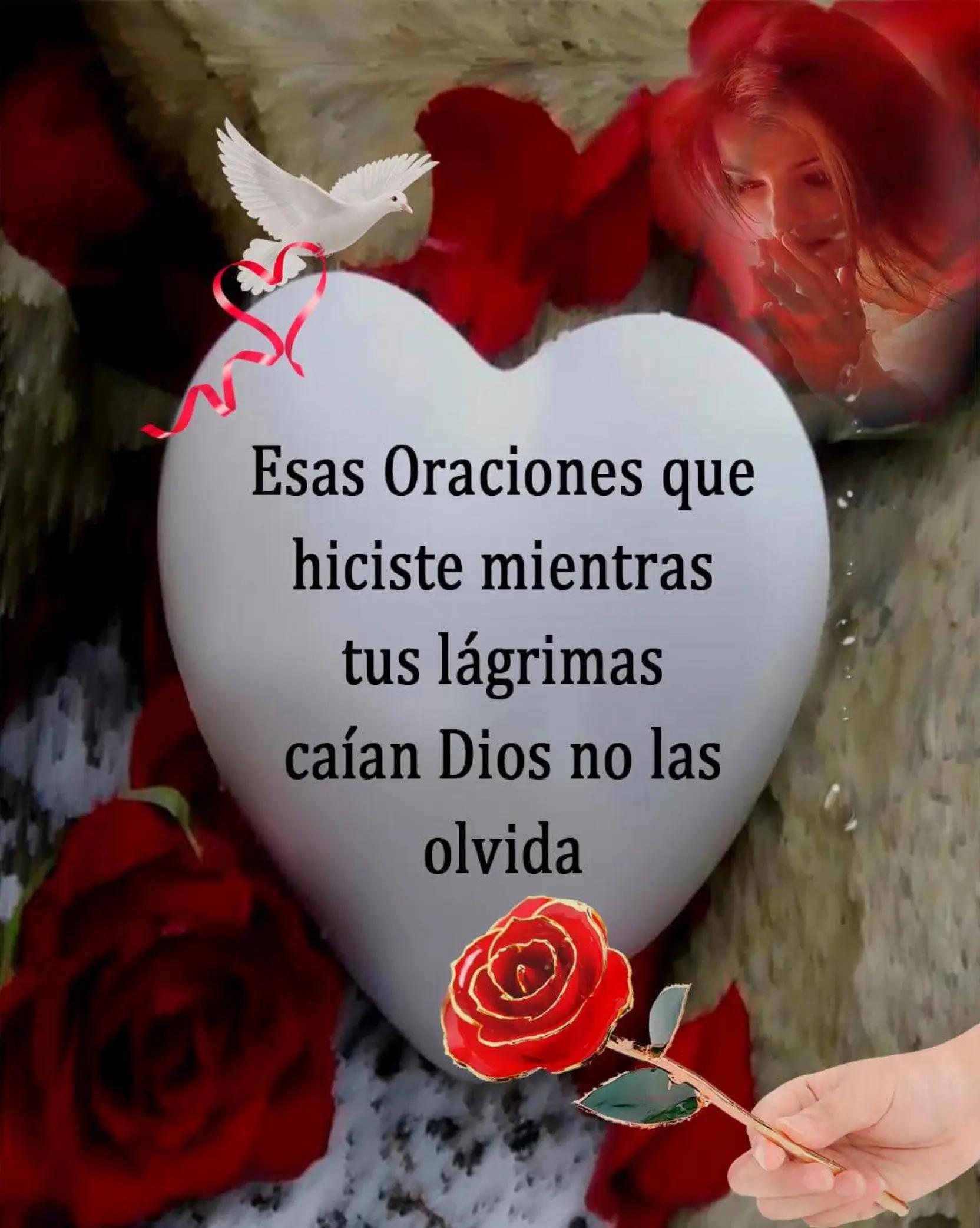 @🪷❤️🪷❤️ 🥰🥰🥰🥰🥰🥰