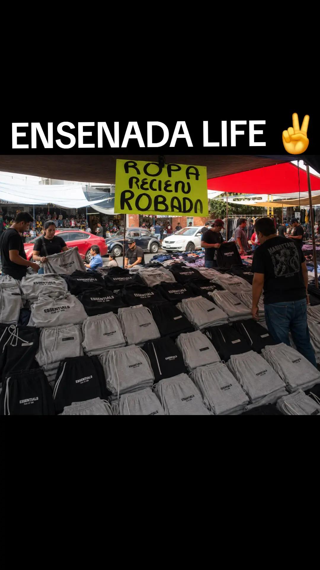 @EL Gallo Salcedo🇲🇽