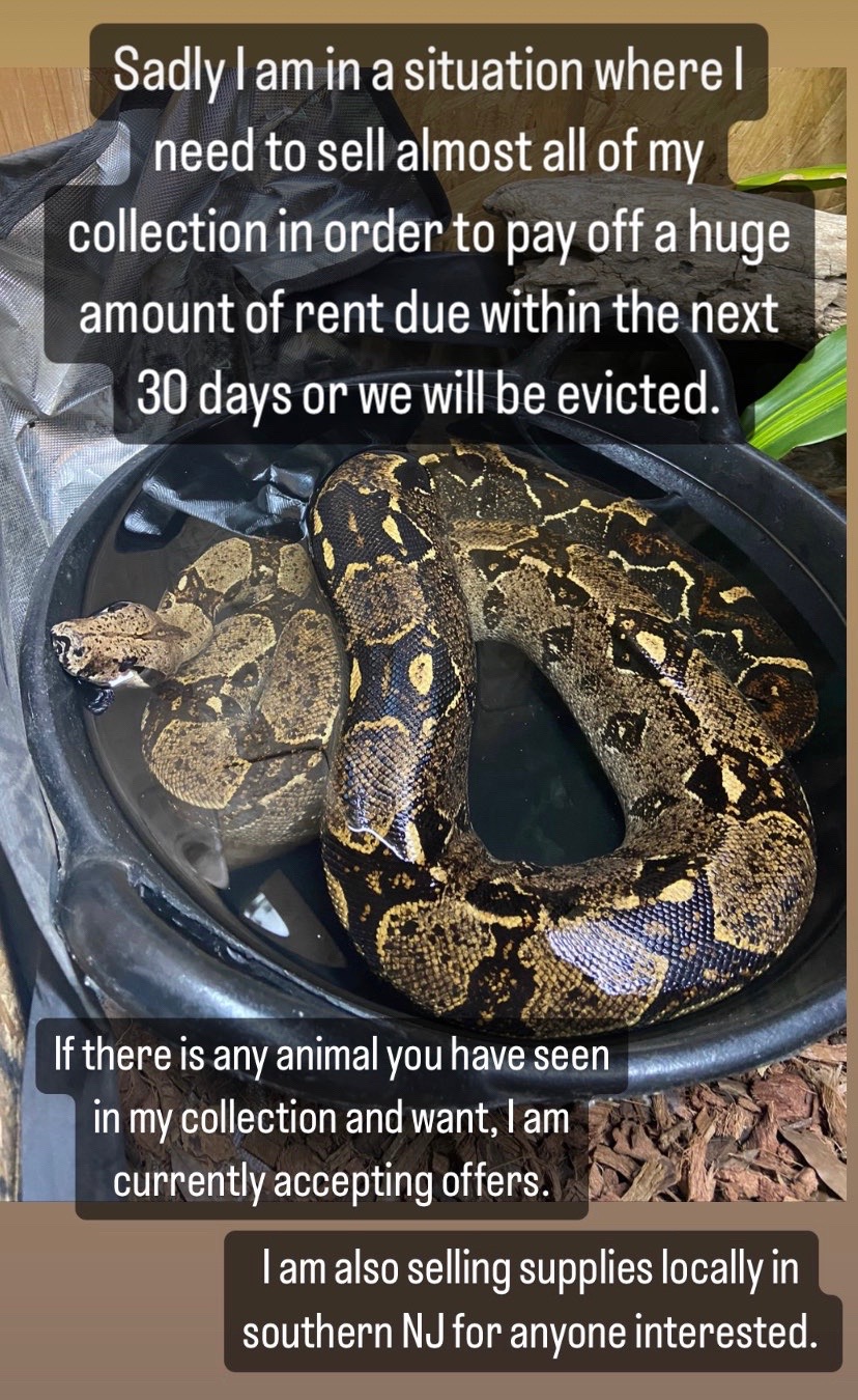 @Sinful Scales