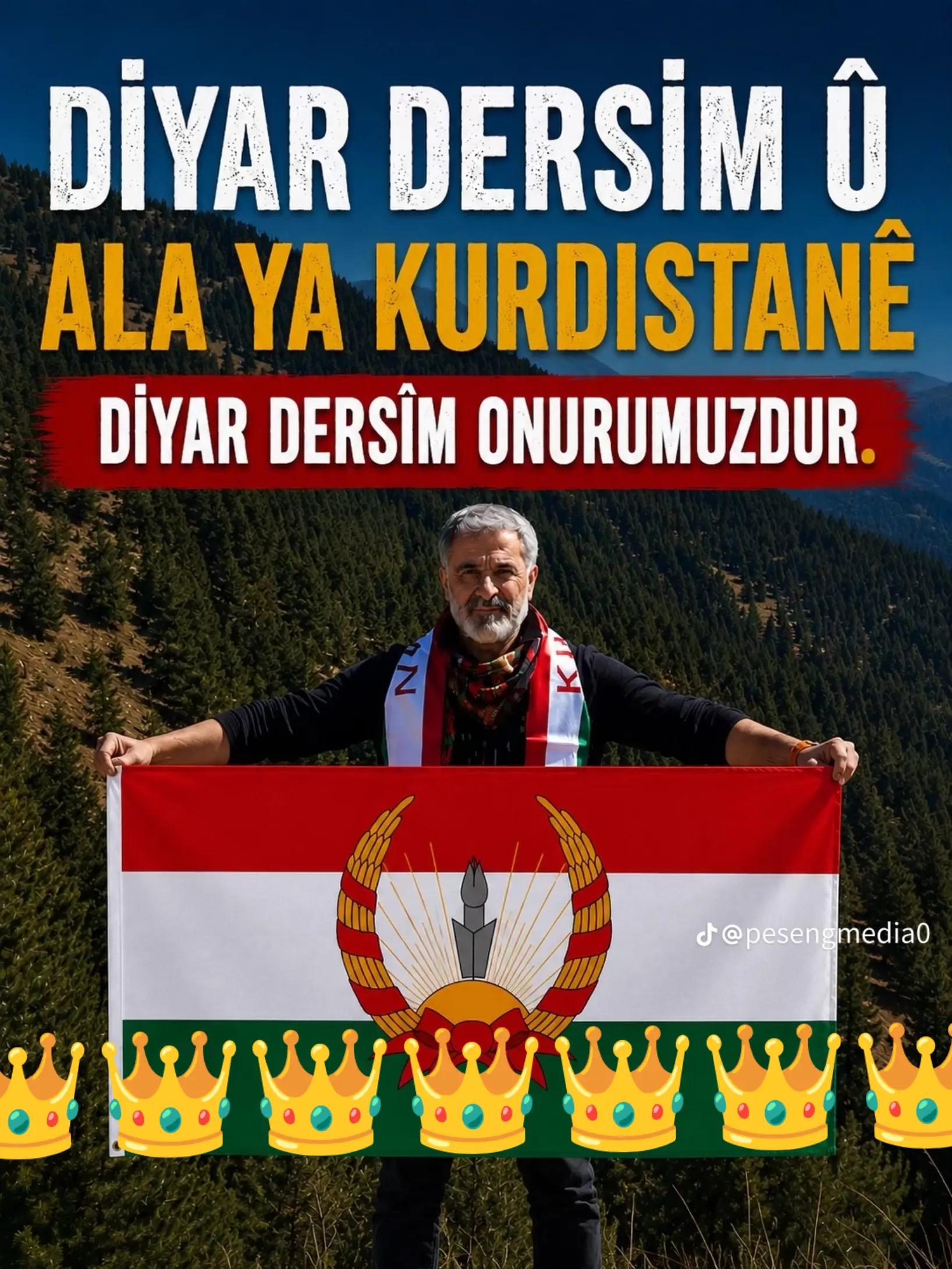 @mehmet gülçin