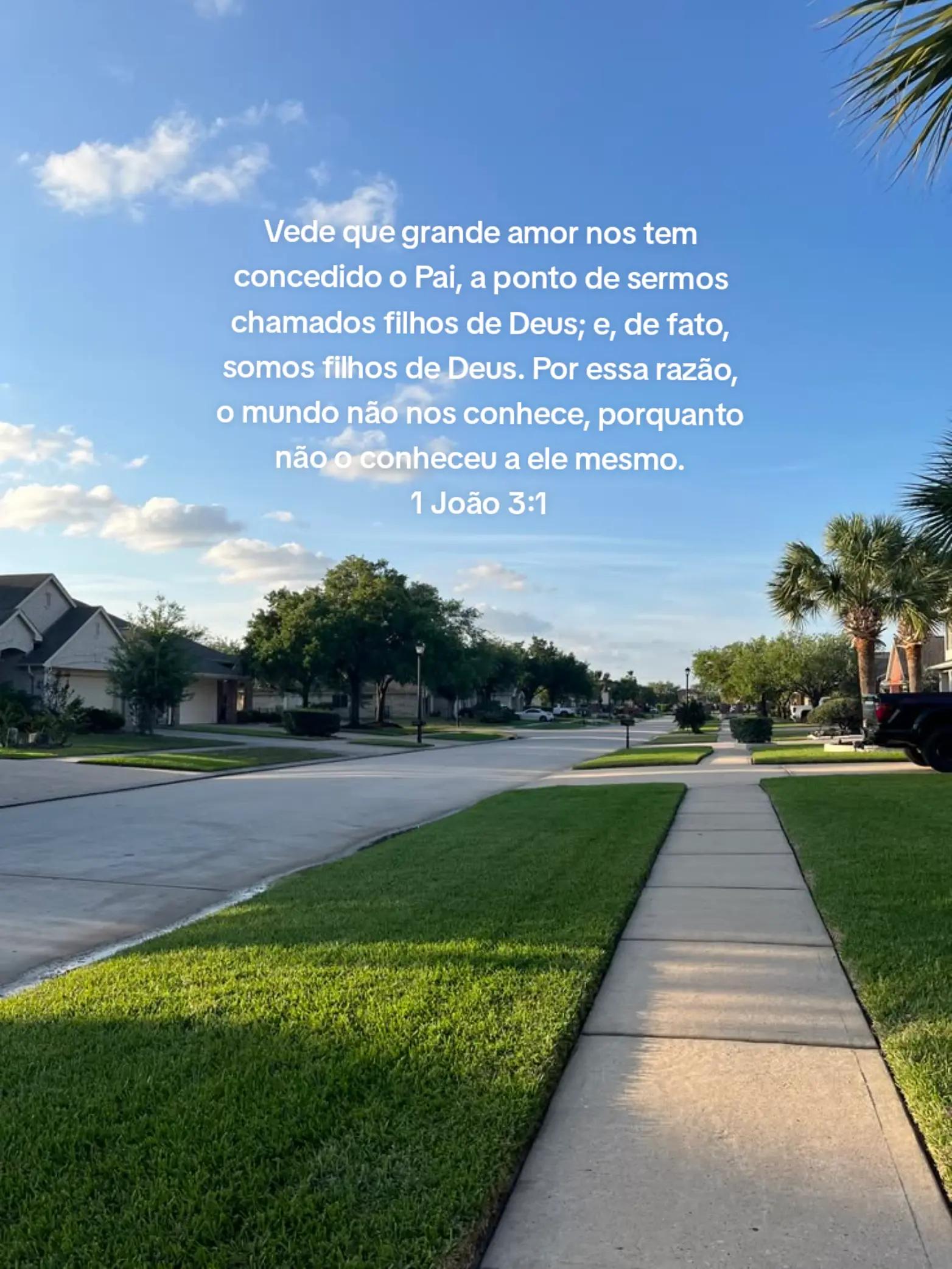@Brenda vitória