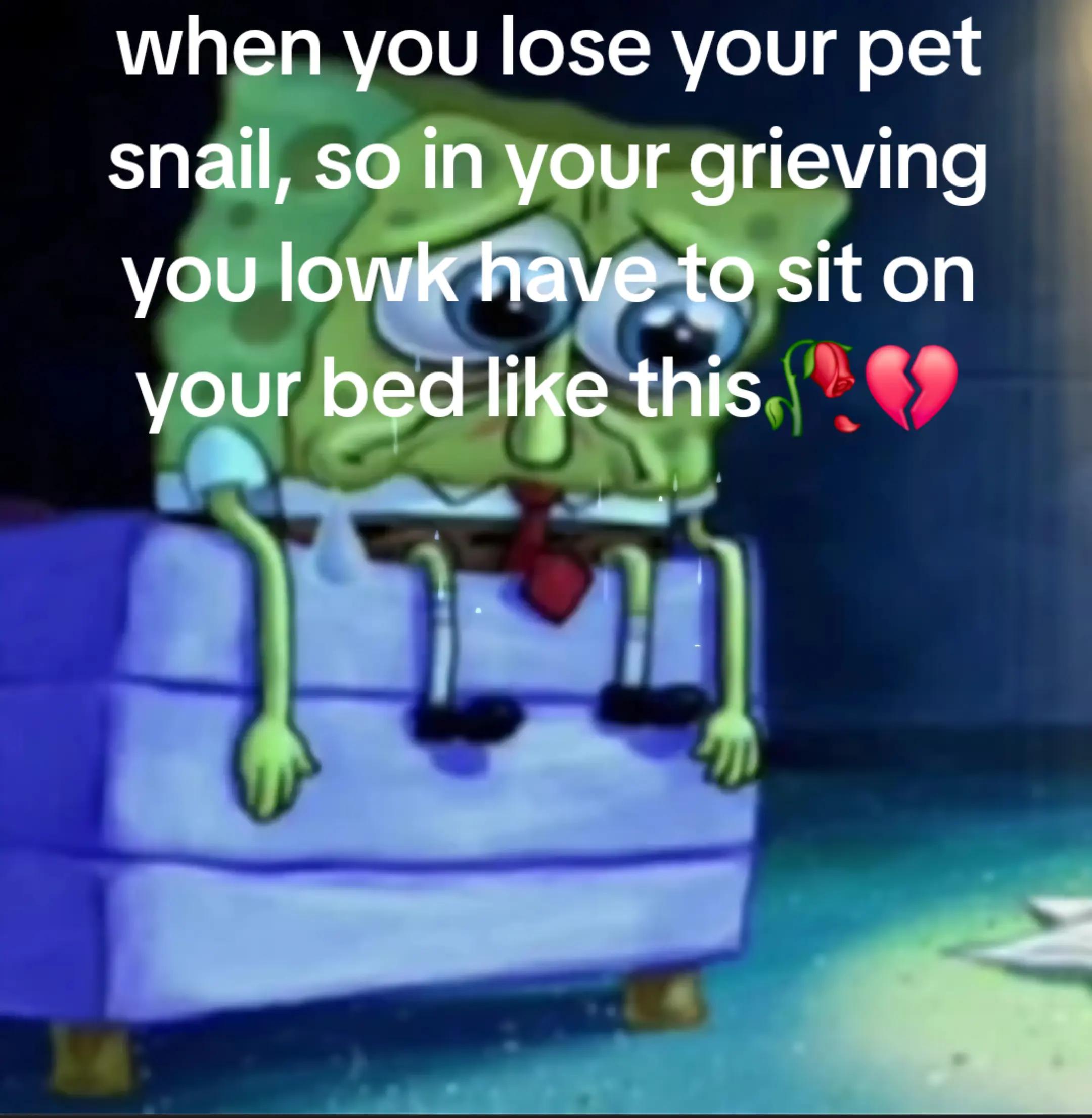 @Sillyman372