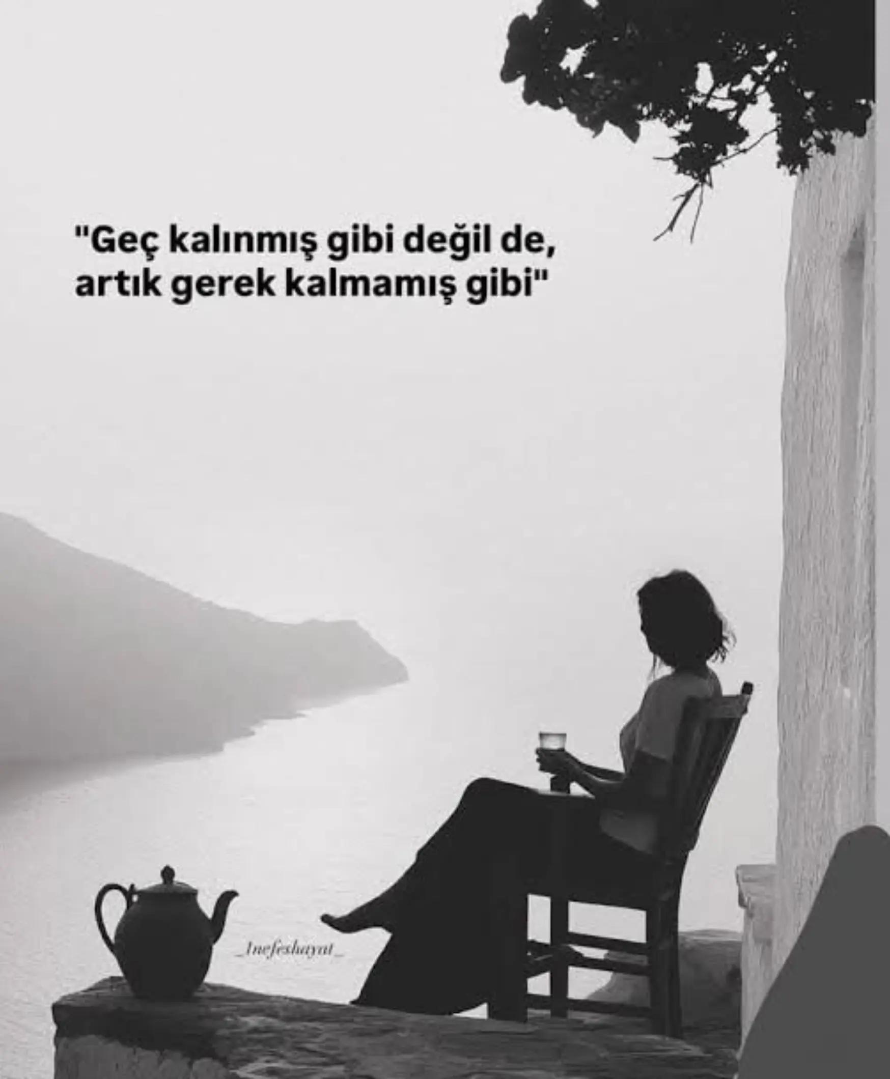 @Serpil Alabaş Emekdar