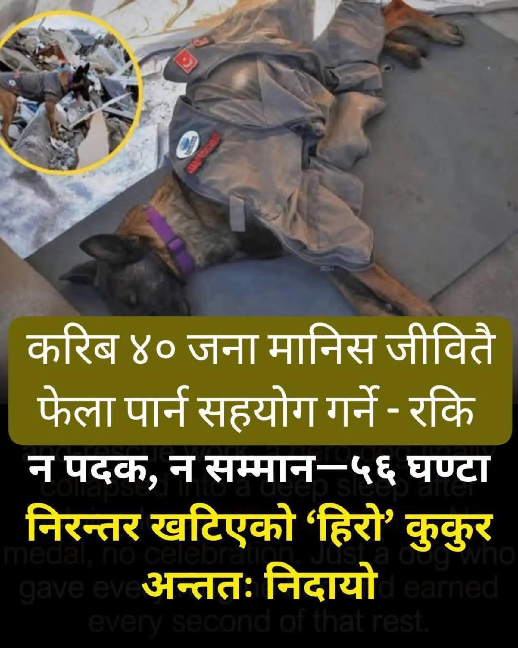 @LifeinNepal