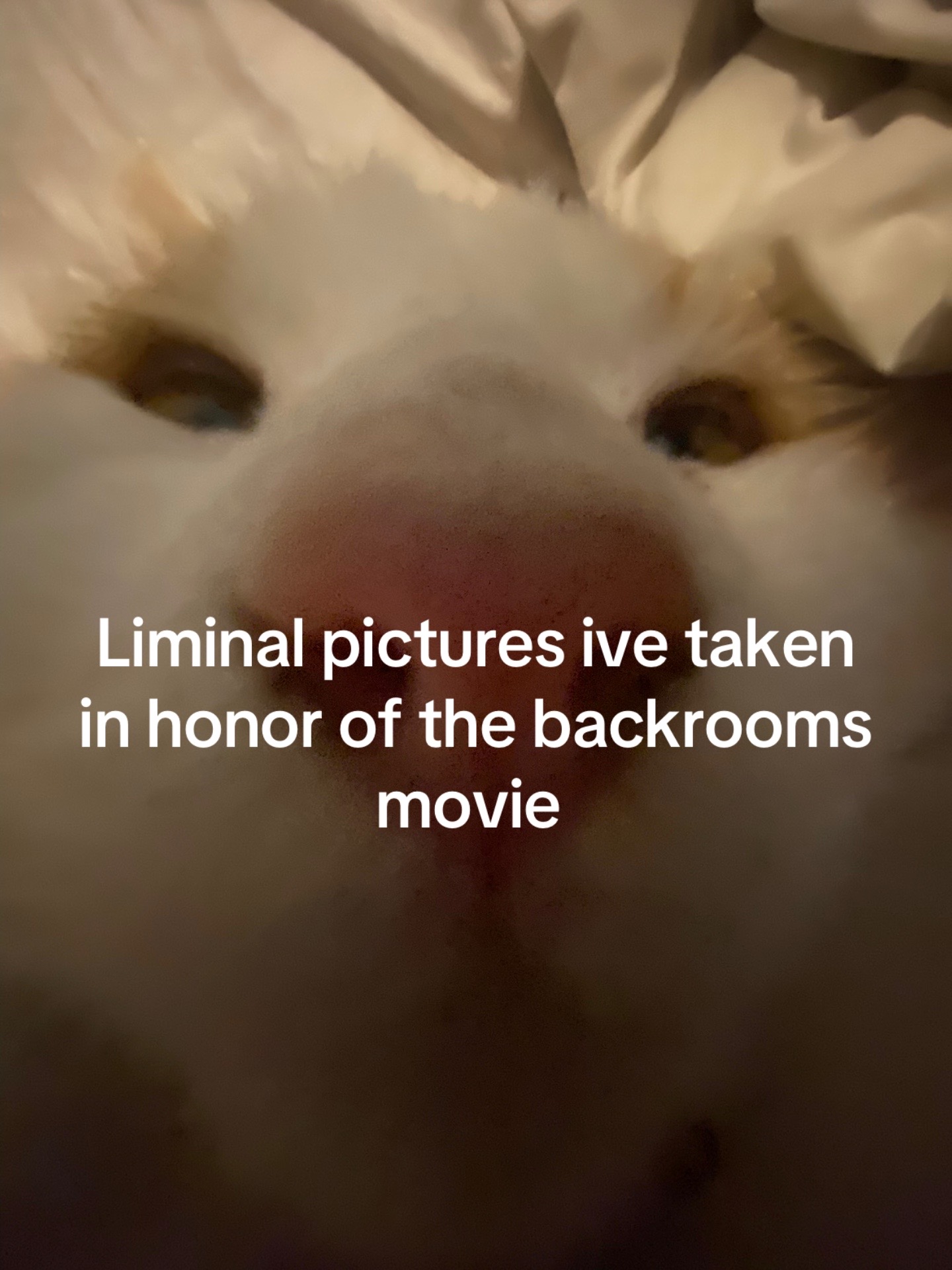 @Katie