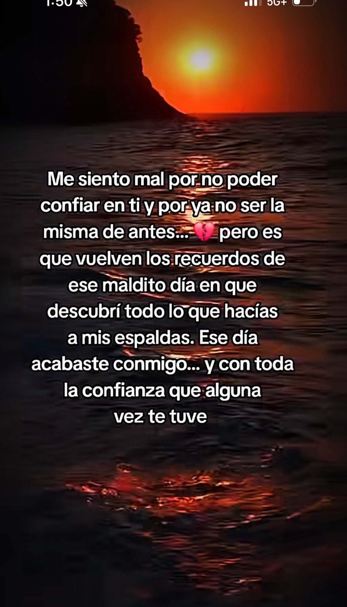 @veronicagarcia8424