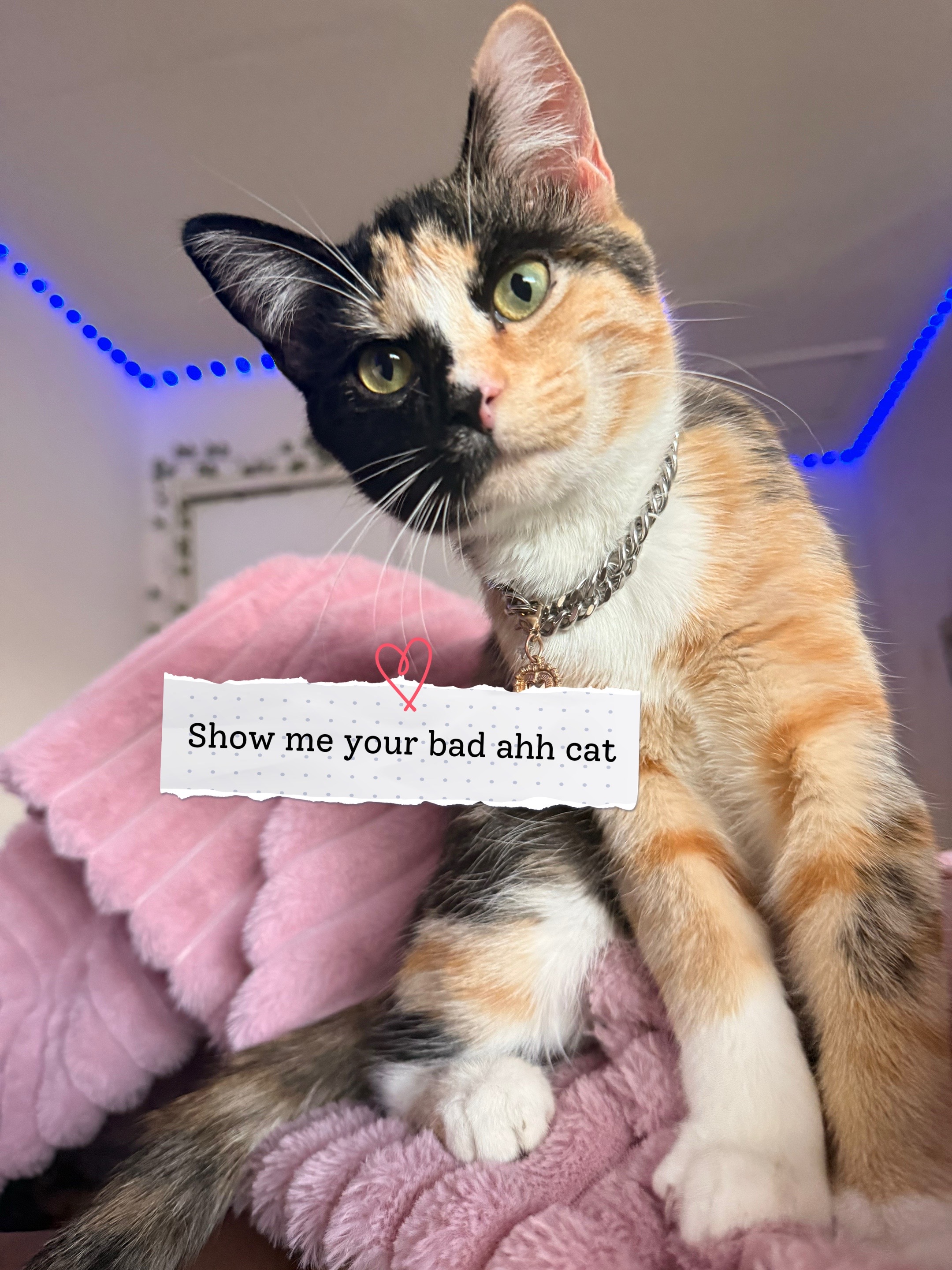 @Cece🥰