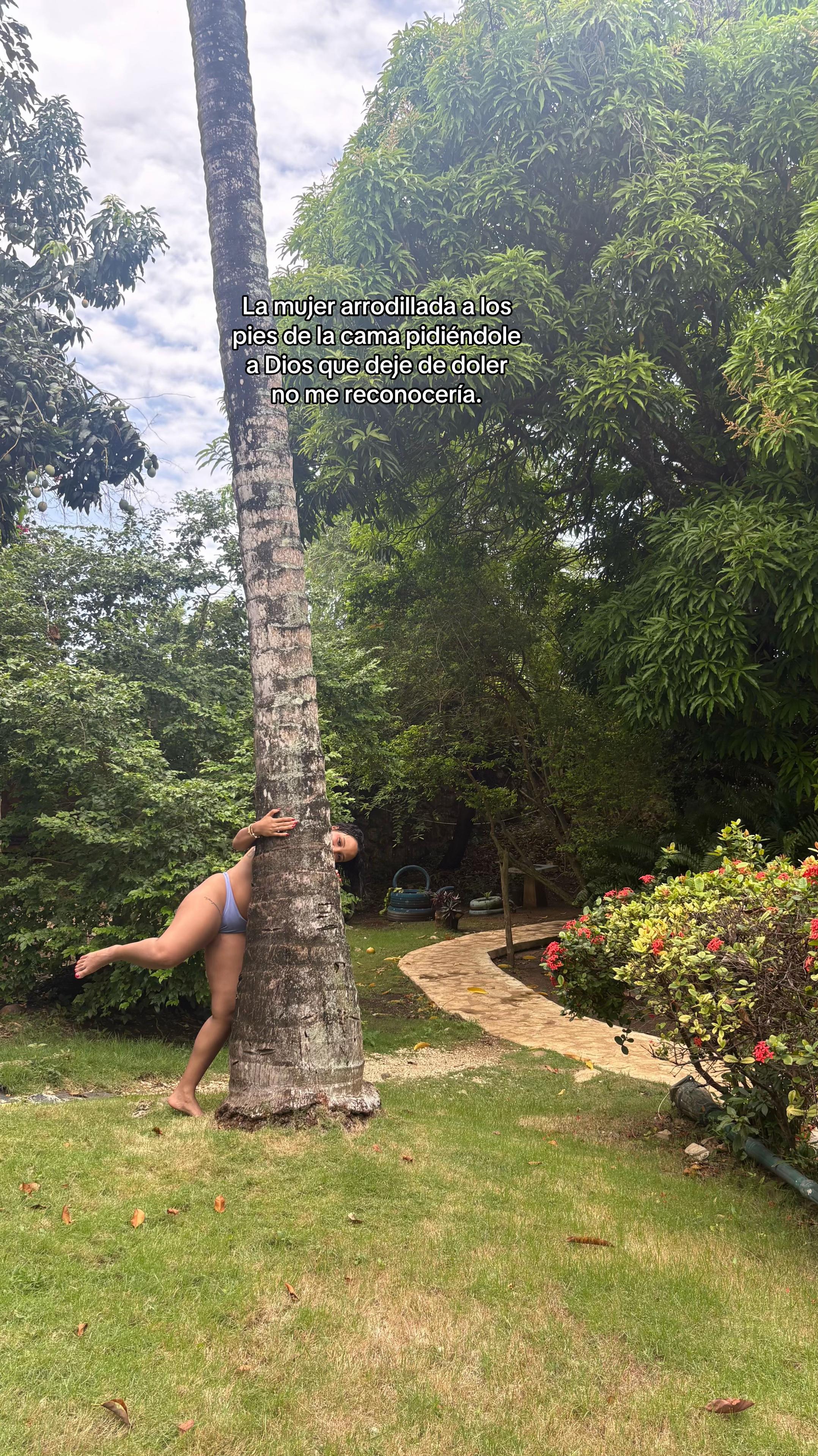 @dayamimorel