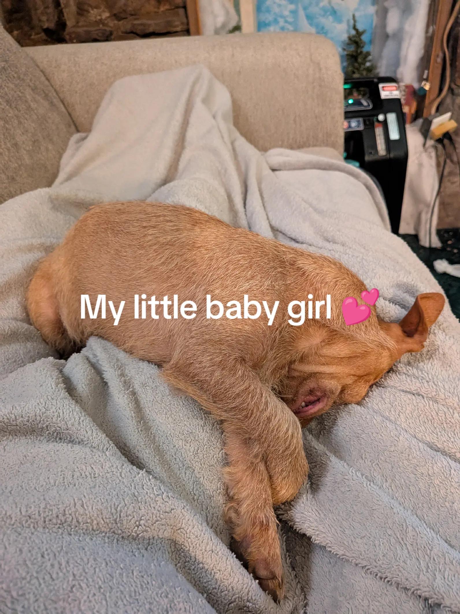 @Greg