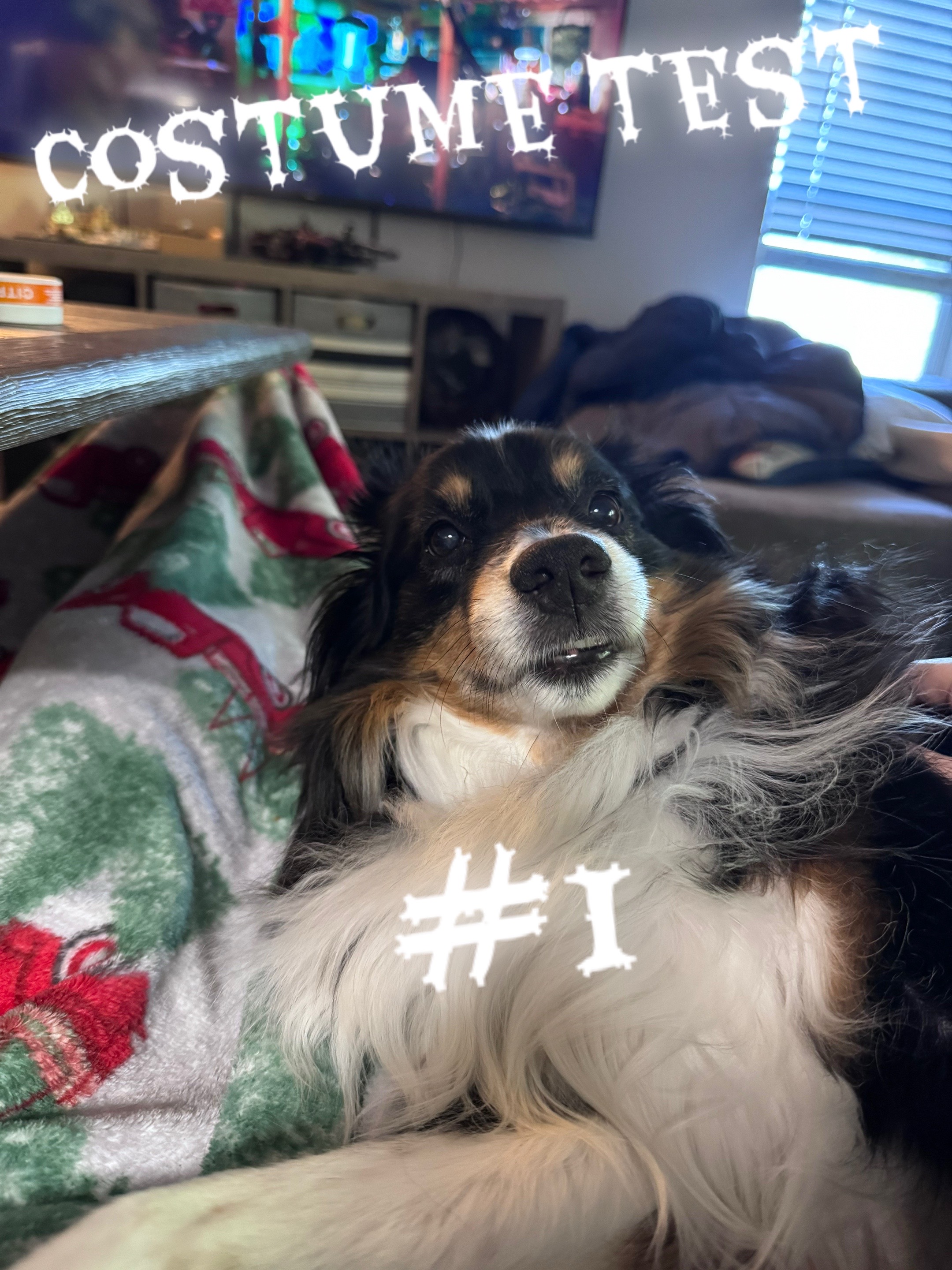 @sabo is babe