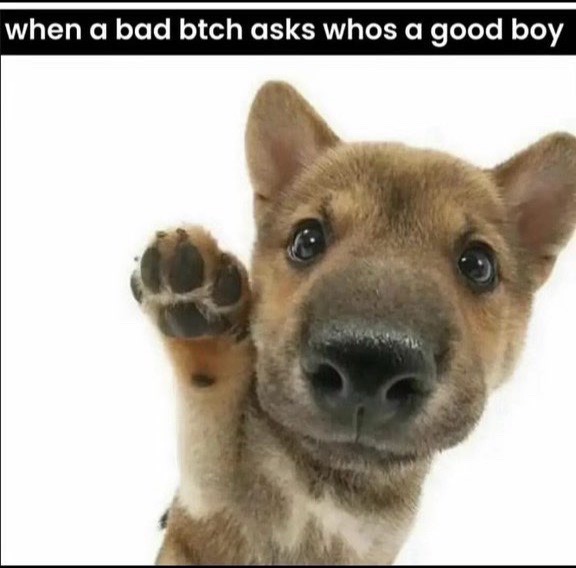 @kevin