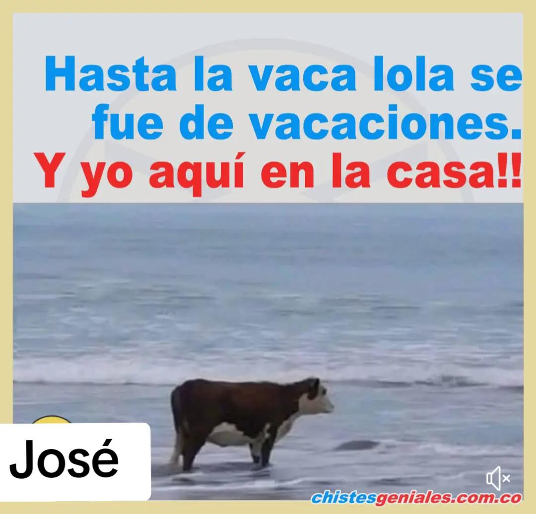 @Alarc&oacute;n75