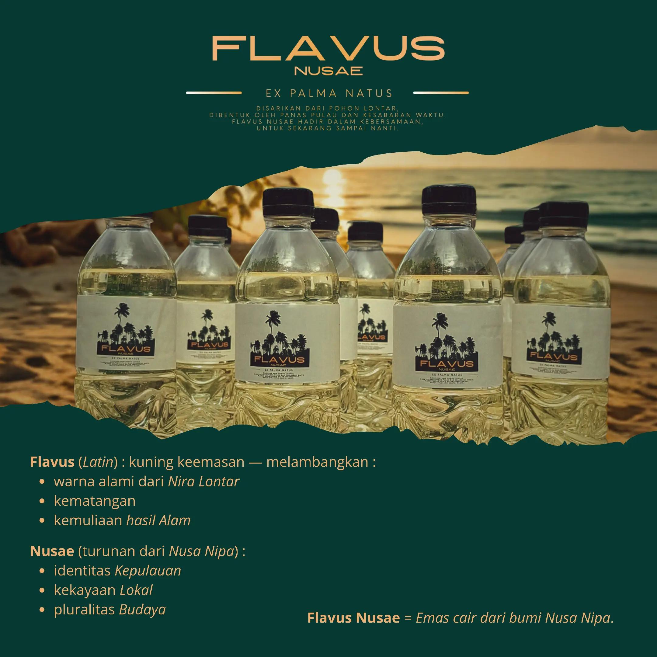 @Flavus Nusae