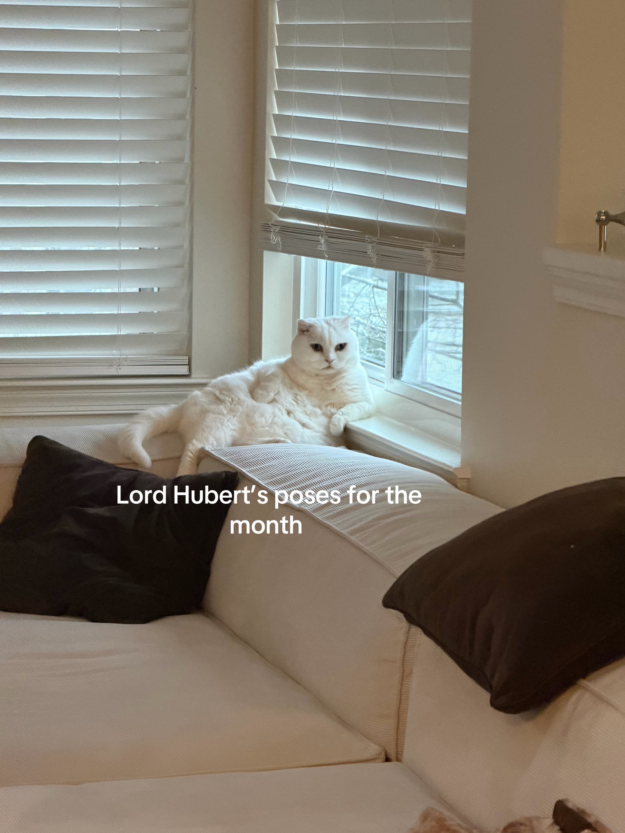 @Hubert
