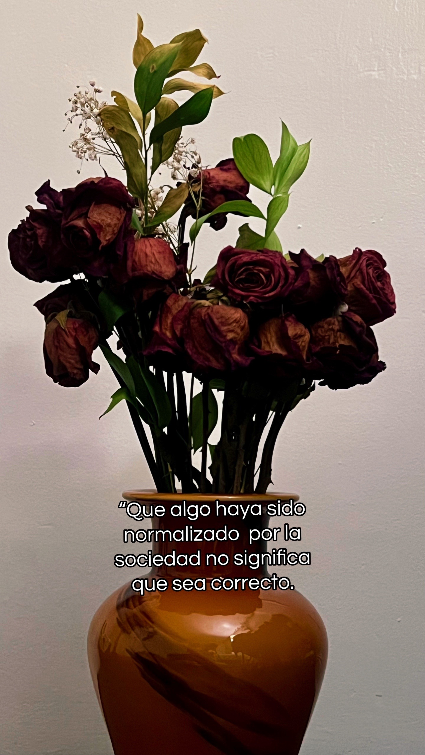 @🌹👨🍳✨YIO✨