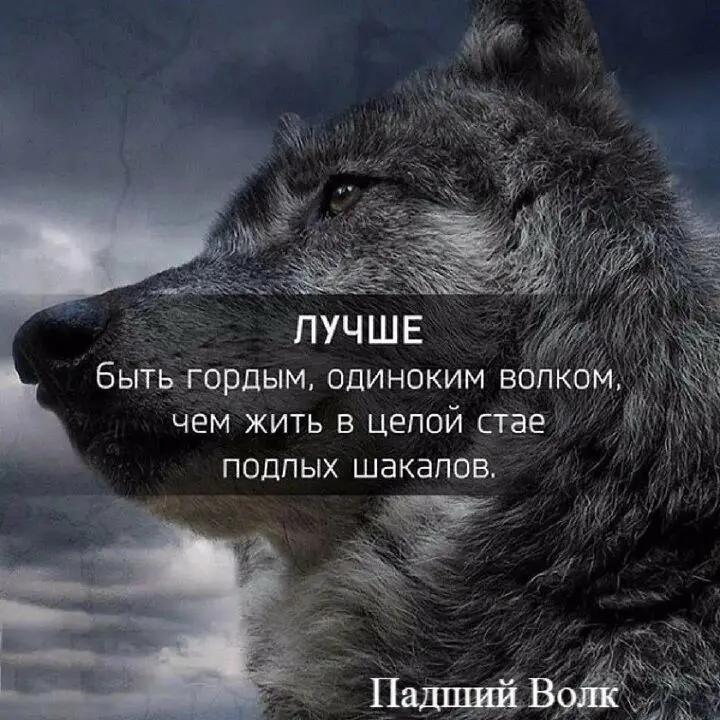 @liya 76