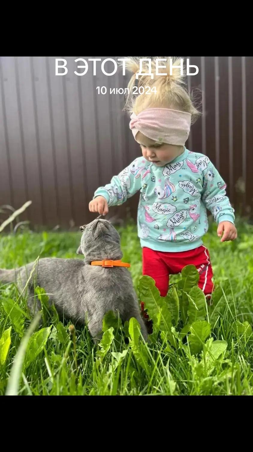@Светлана