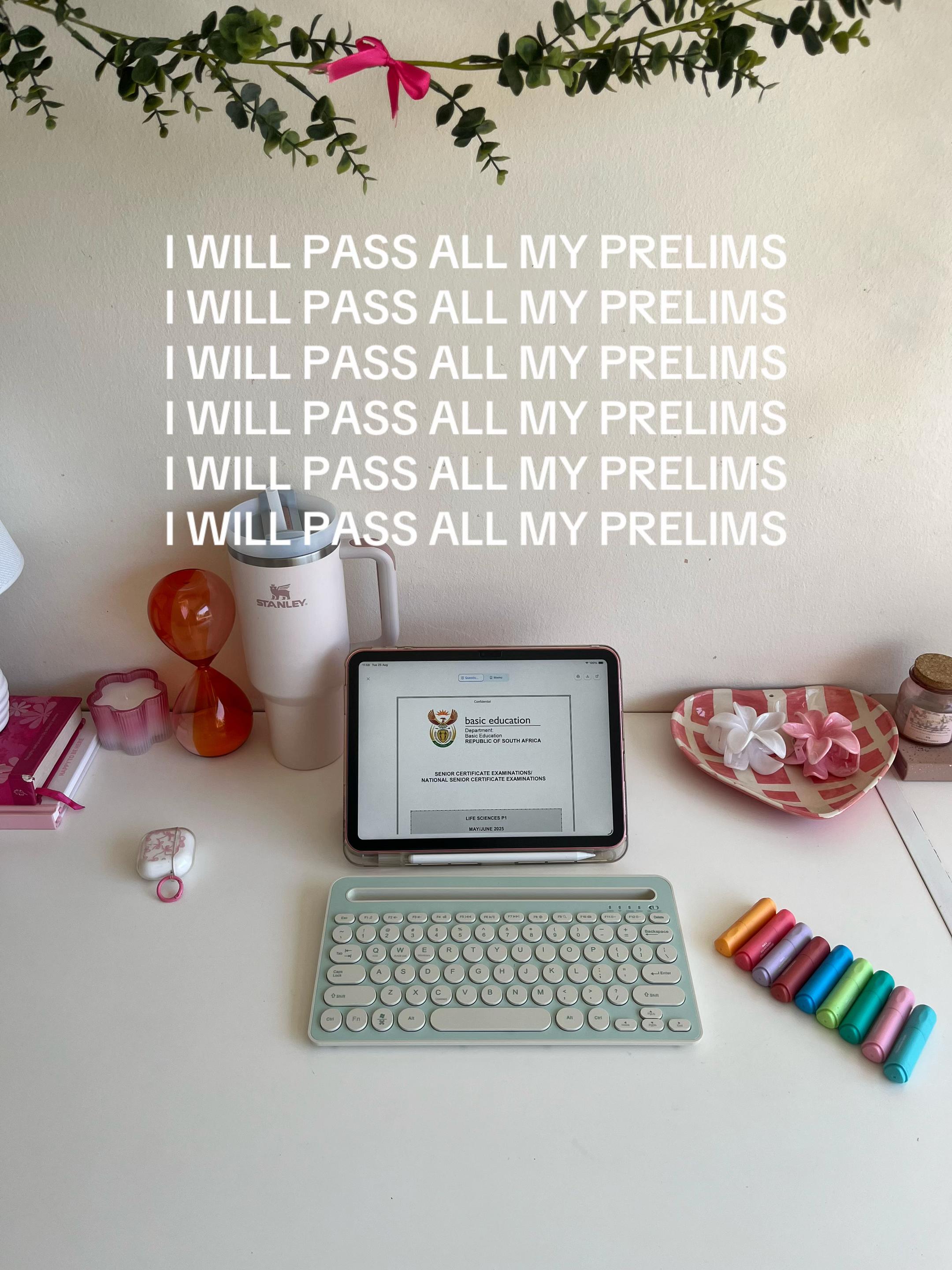 @pinkstudy.diaries