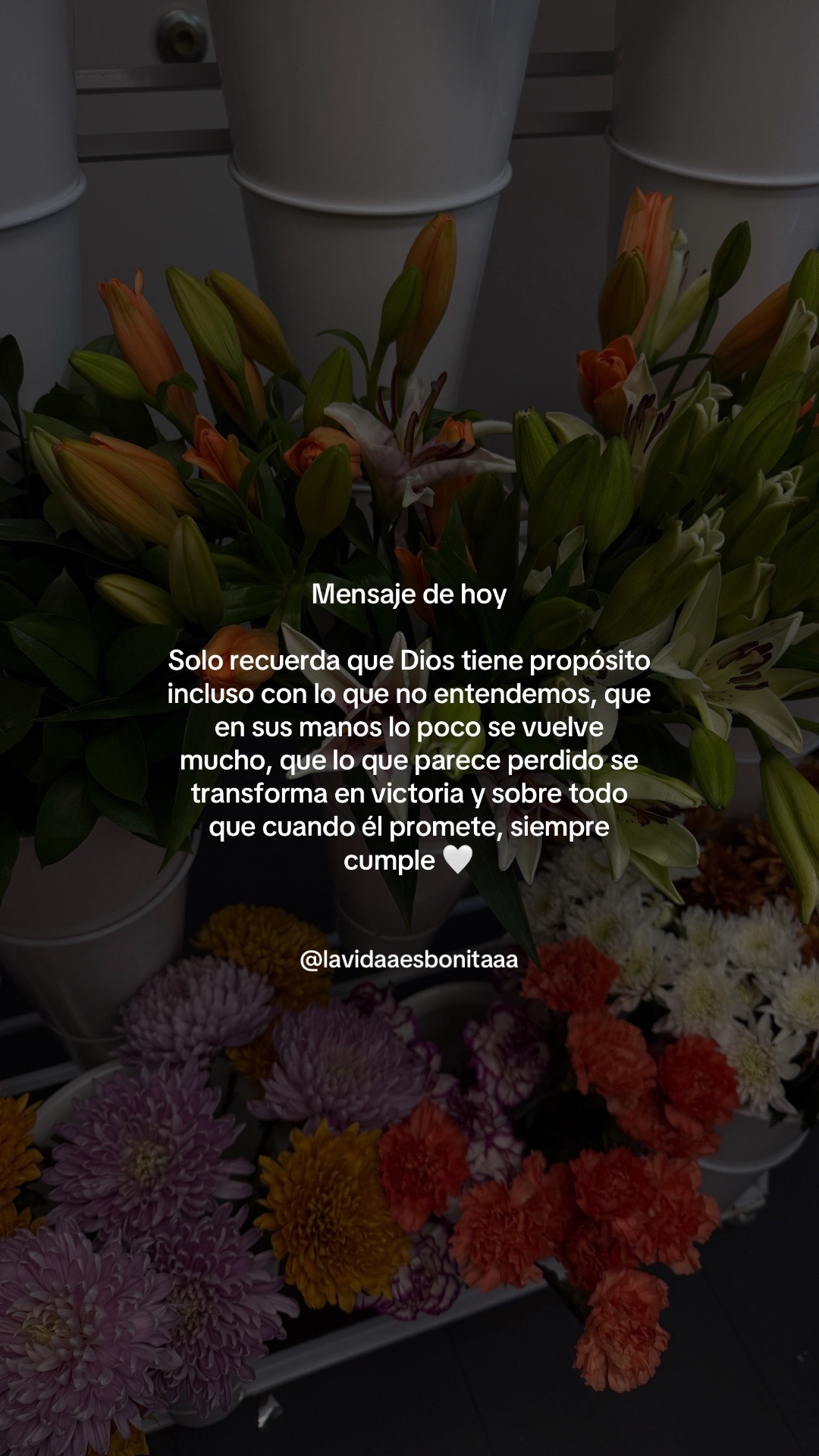 @vidabonita❤️&zwj;🩹