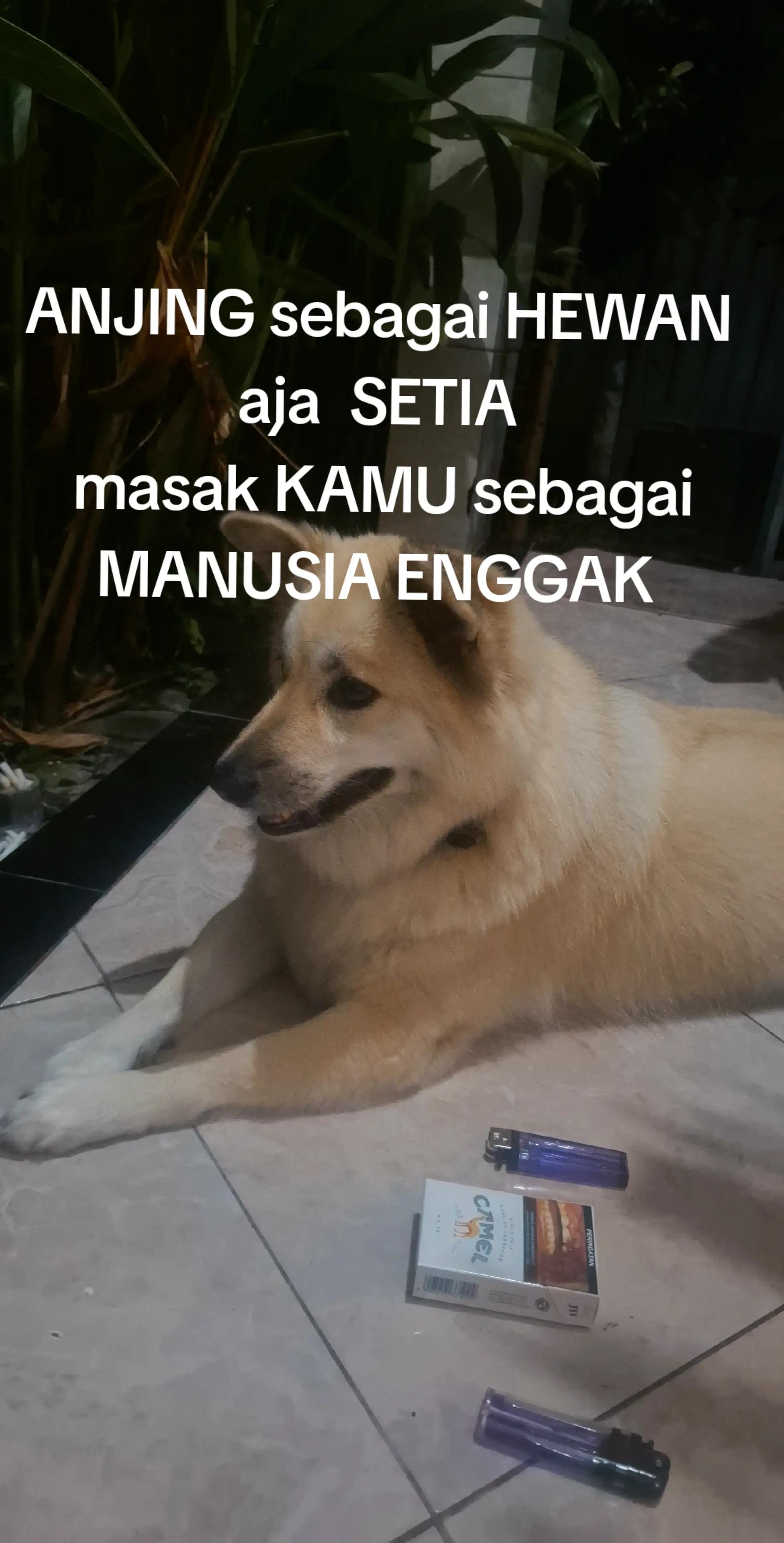 @Melisa mp