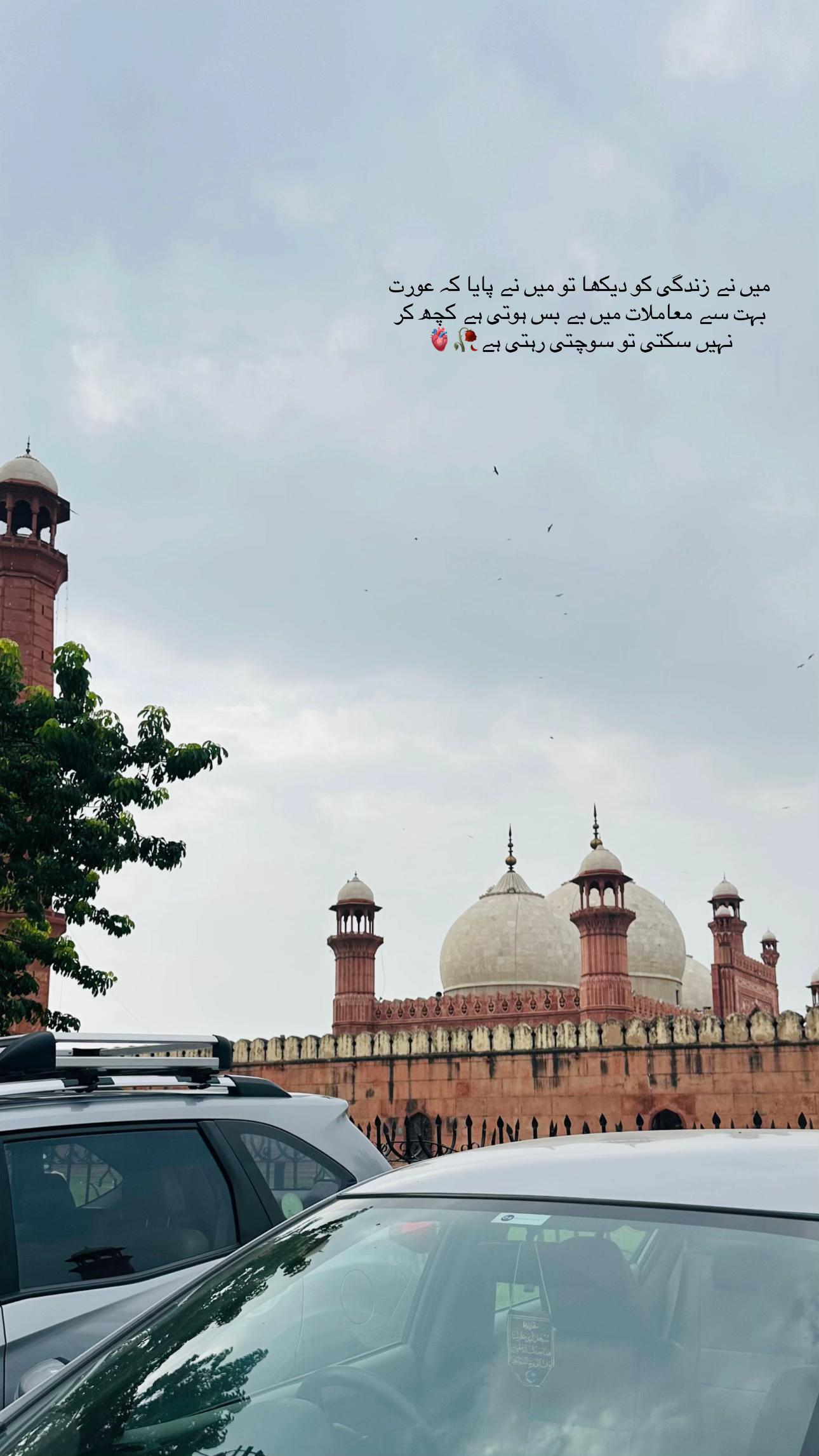 @maryamrajpout86