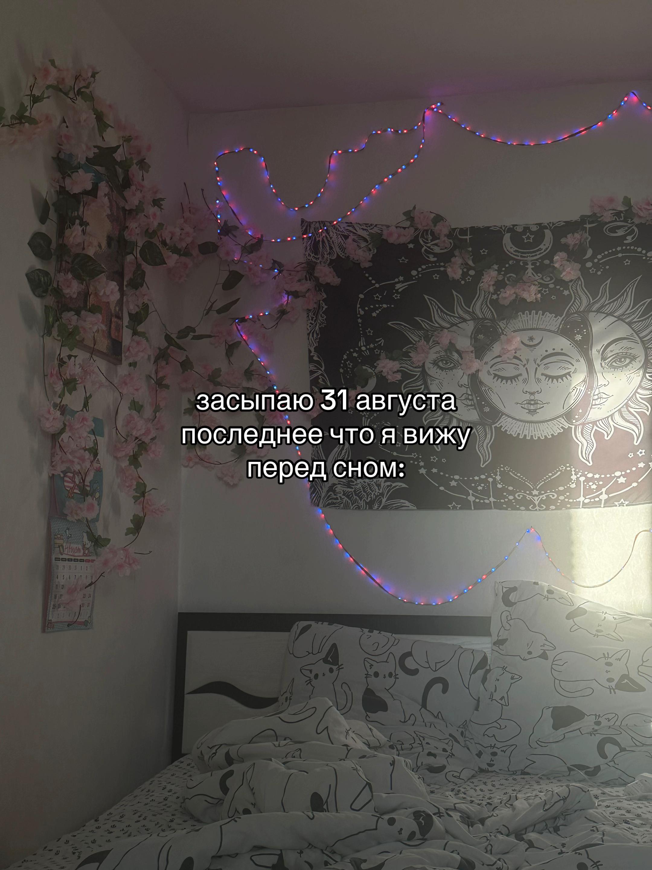 @алёна панкова
