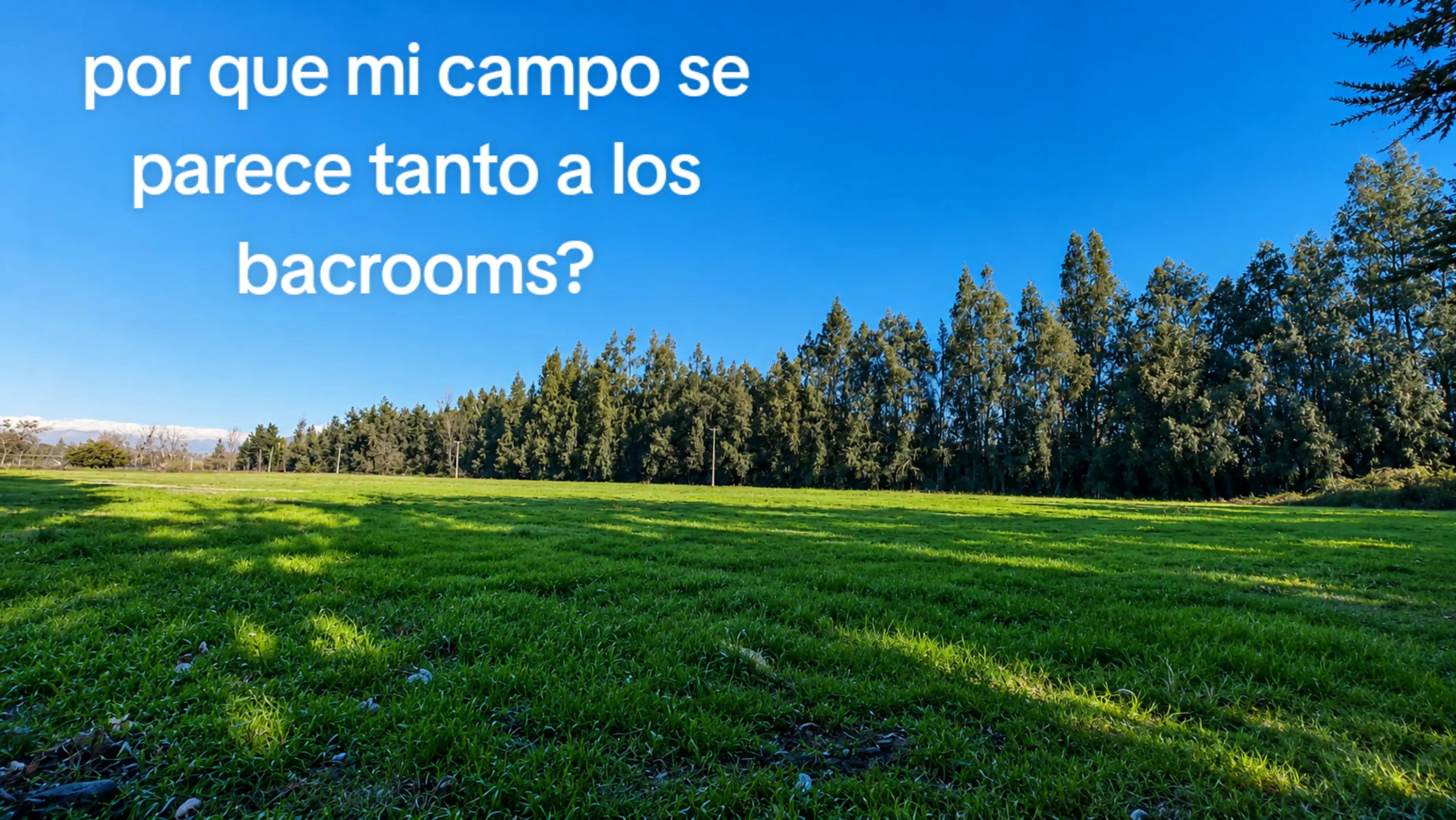 @tomi