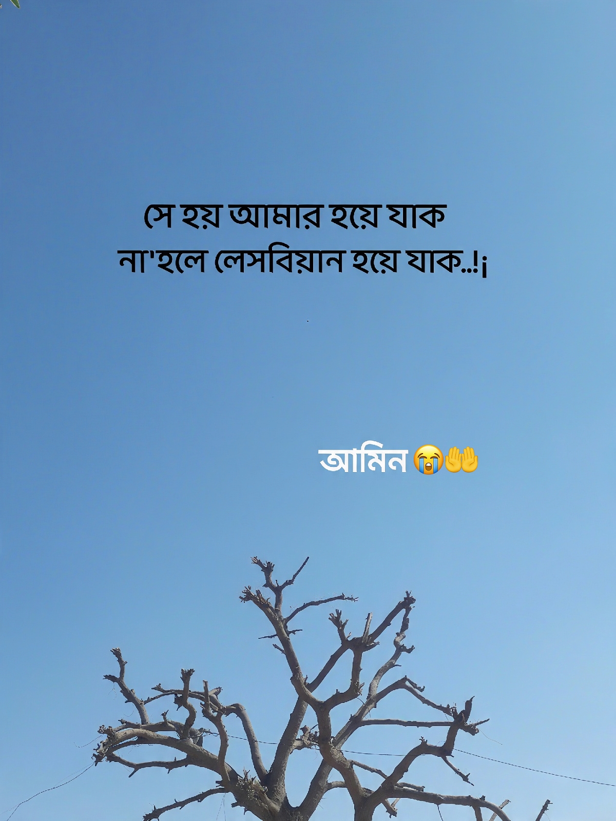 @🧃 Try It ZIHAD🪽