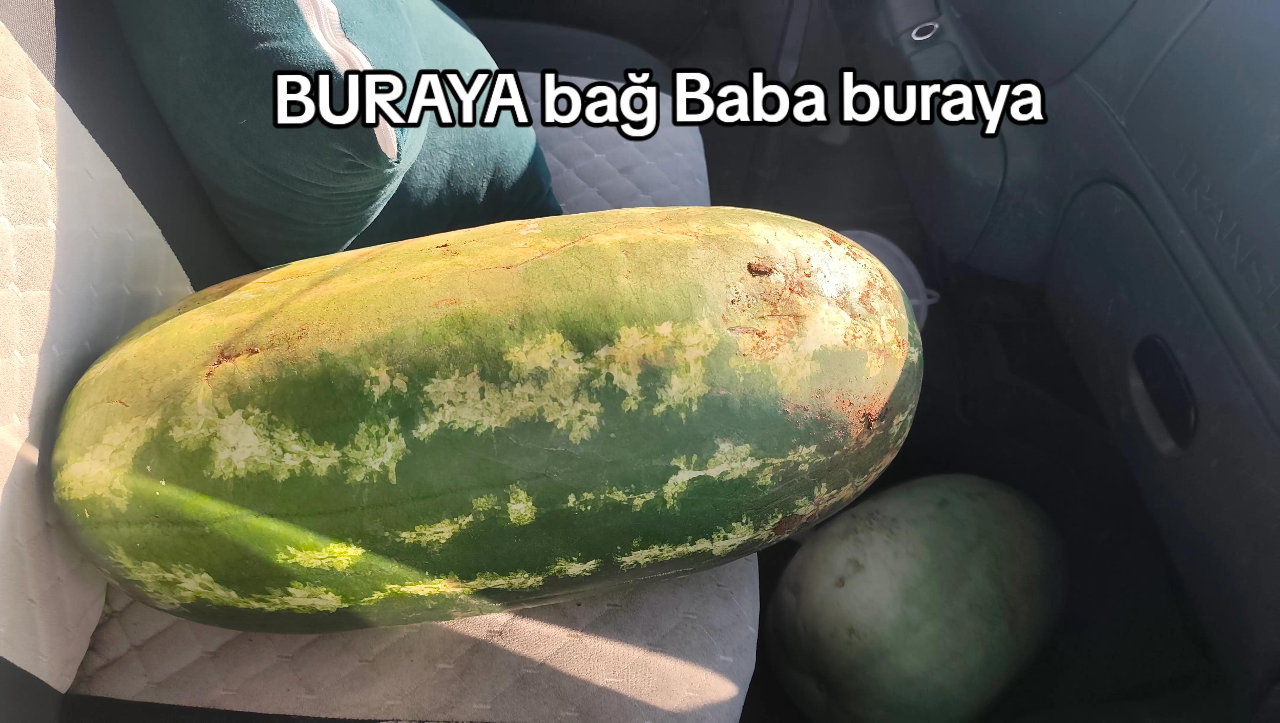 @🚜 &Ccedil;ift&ccedil;i Rotası 🌱