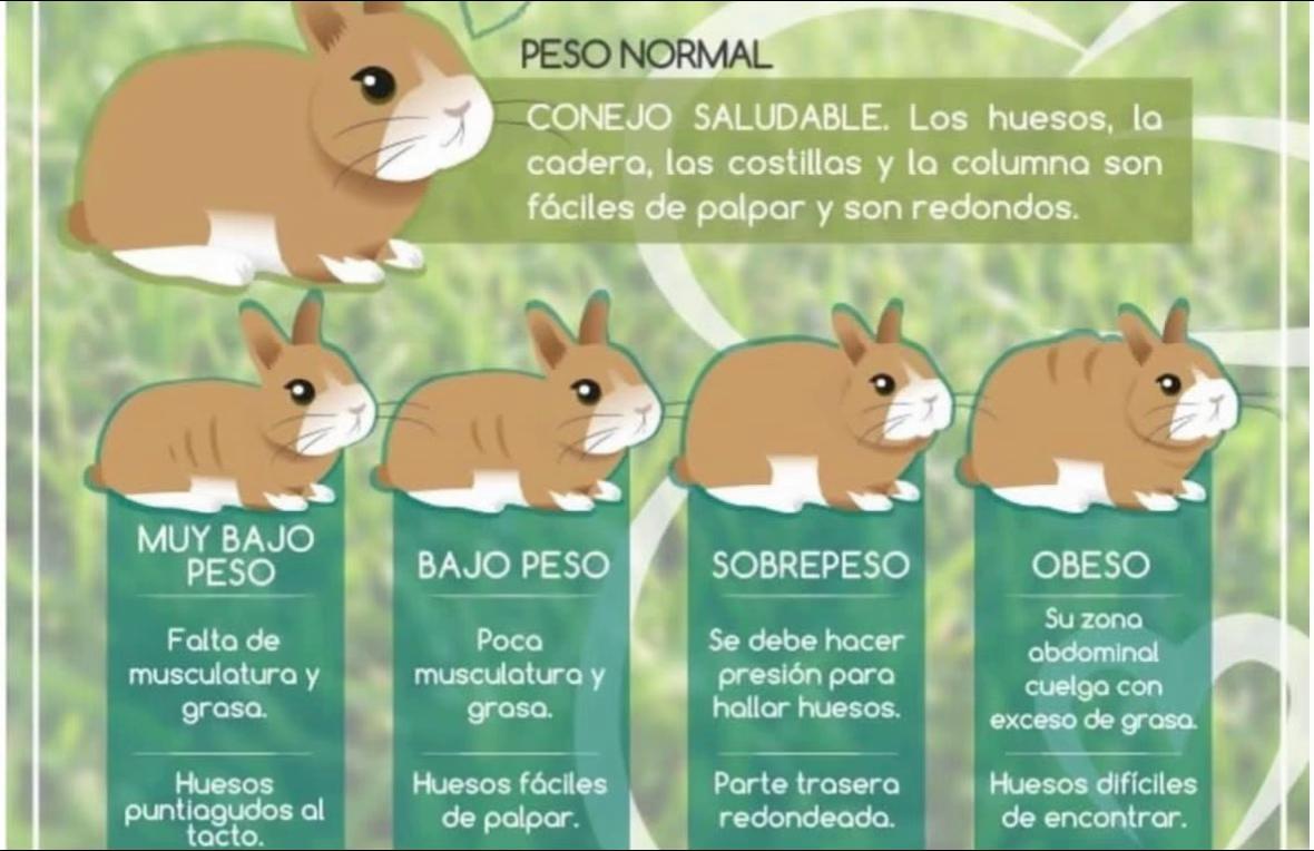 @𓆰Dieguito Ssj𓆪