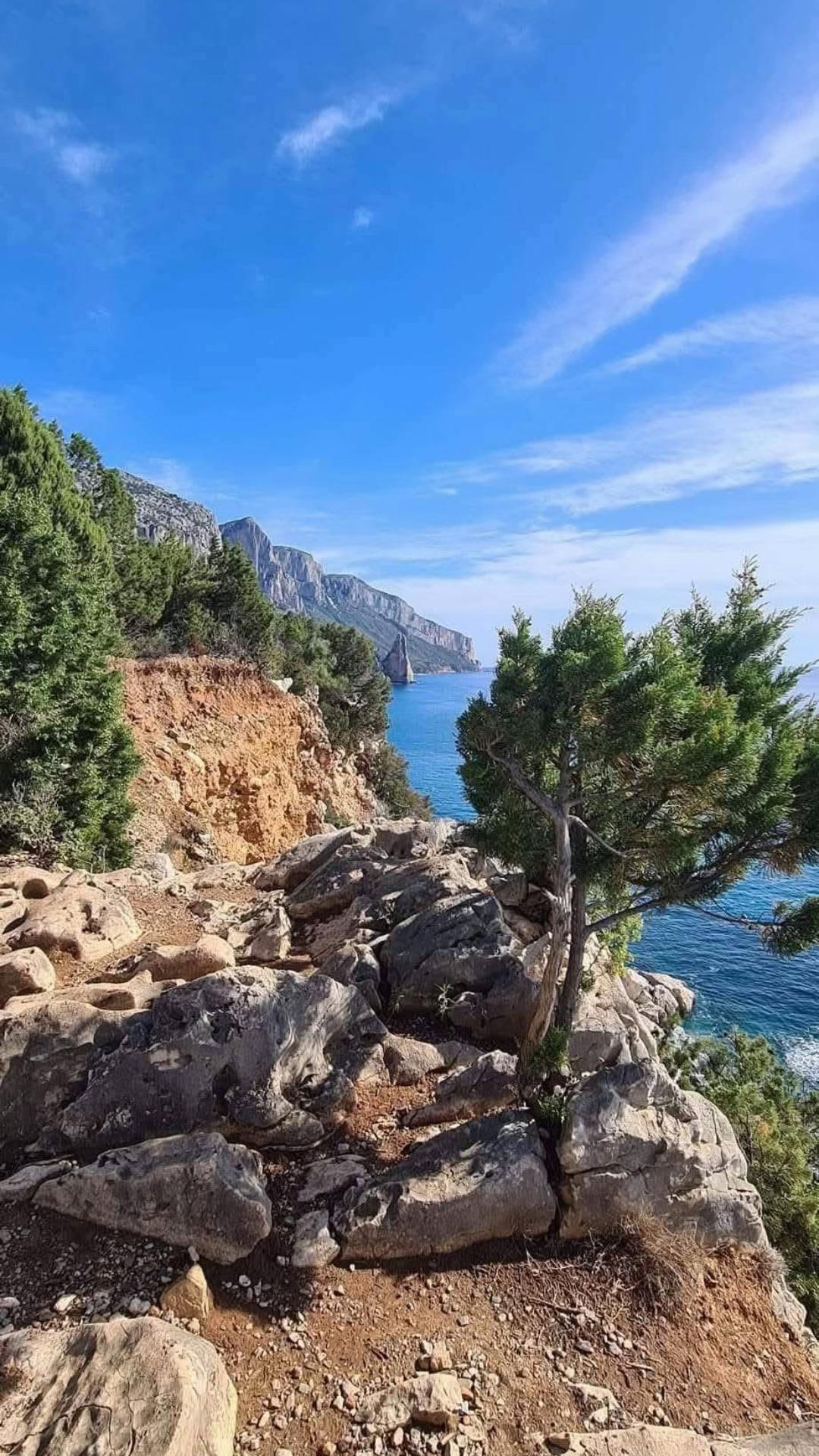 @MarekViniol1972🇵🇱🇫🇷🏴&zwj;☠️