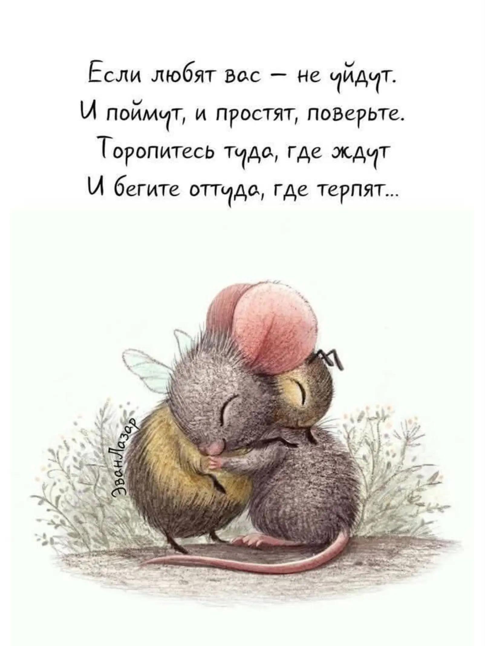 @Гуляша