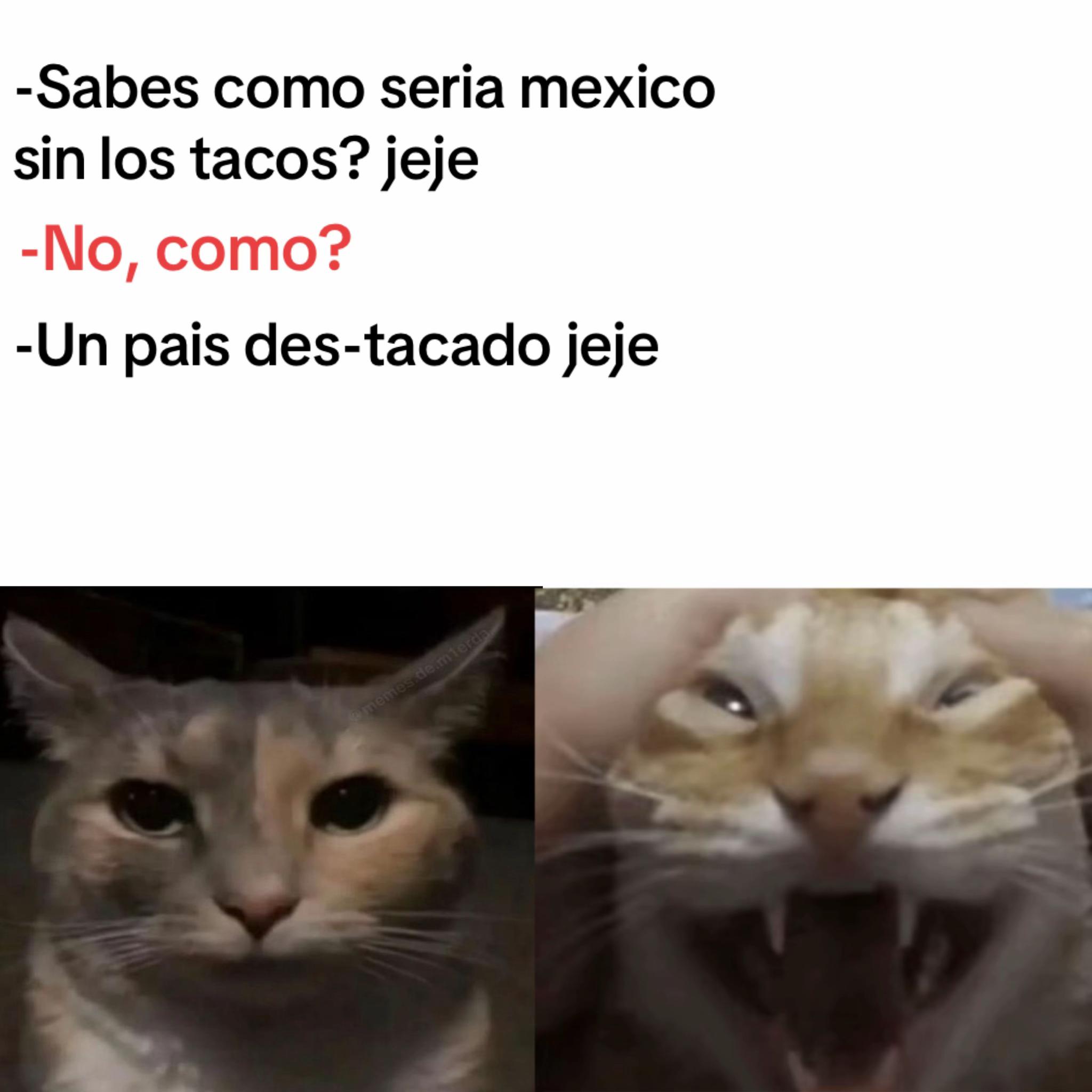 @momazosnegromarronjeje
