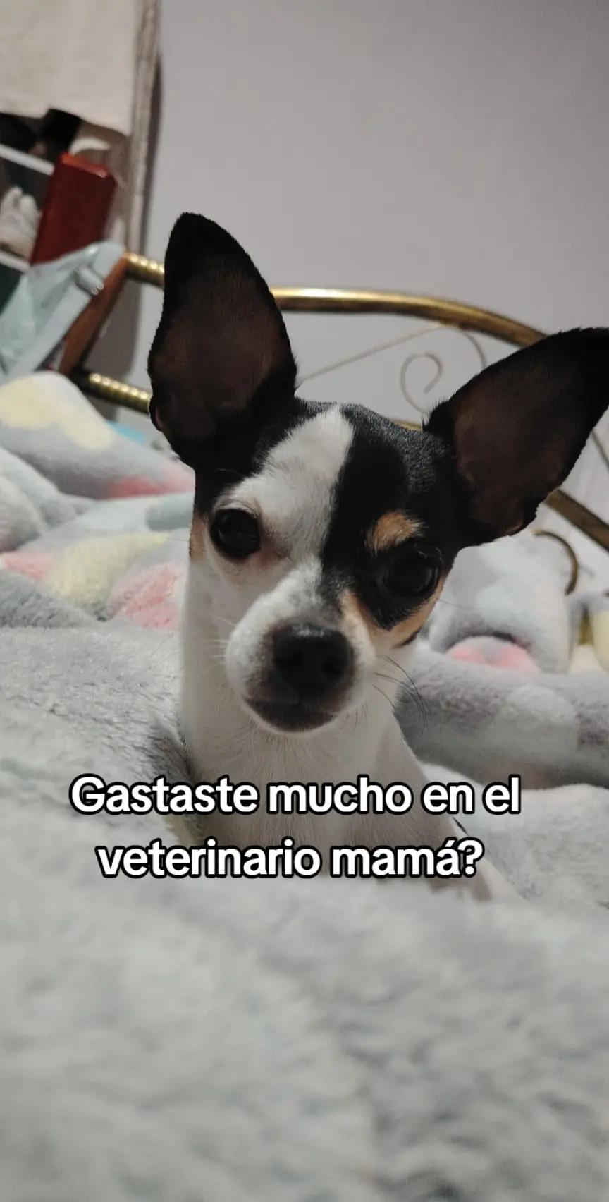 @Danielita Abi Gomez