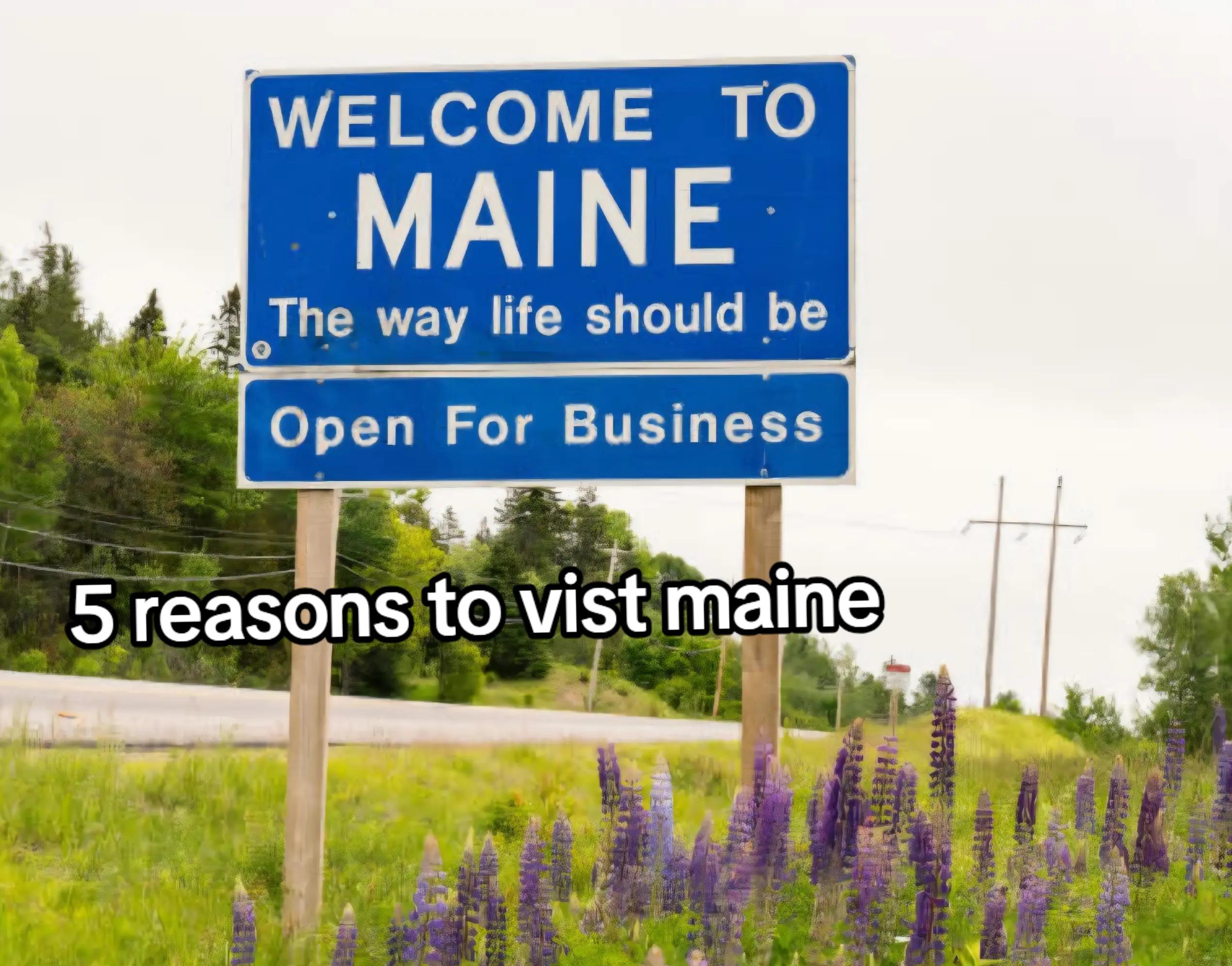 @Julia(DUCK ARMY SOLIDER)