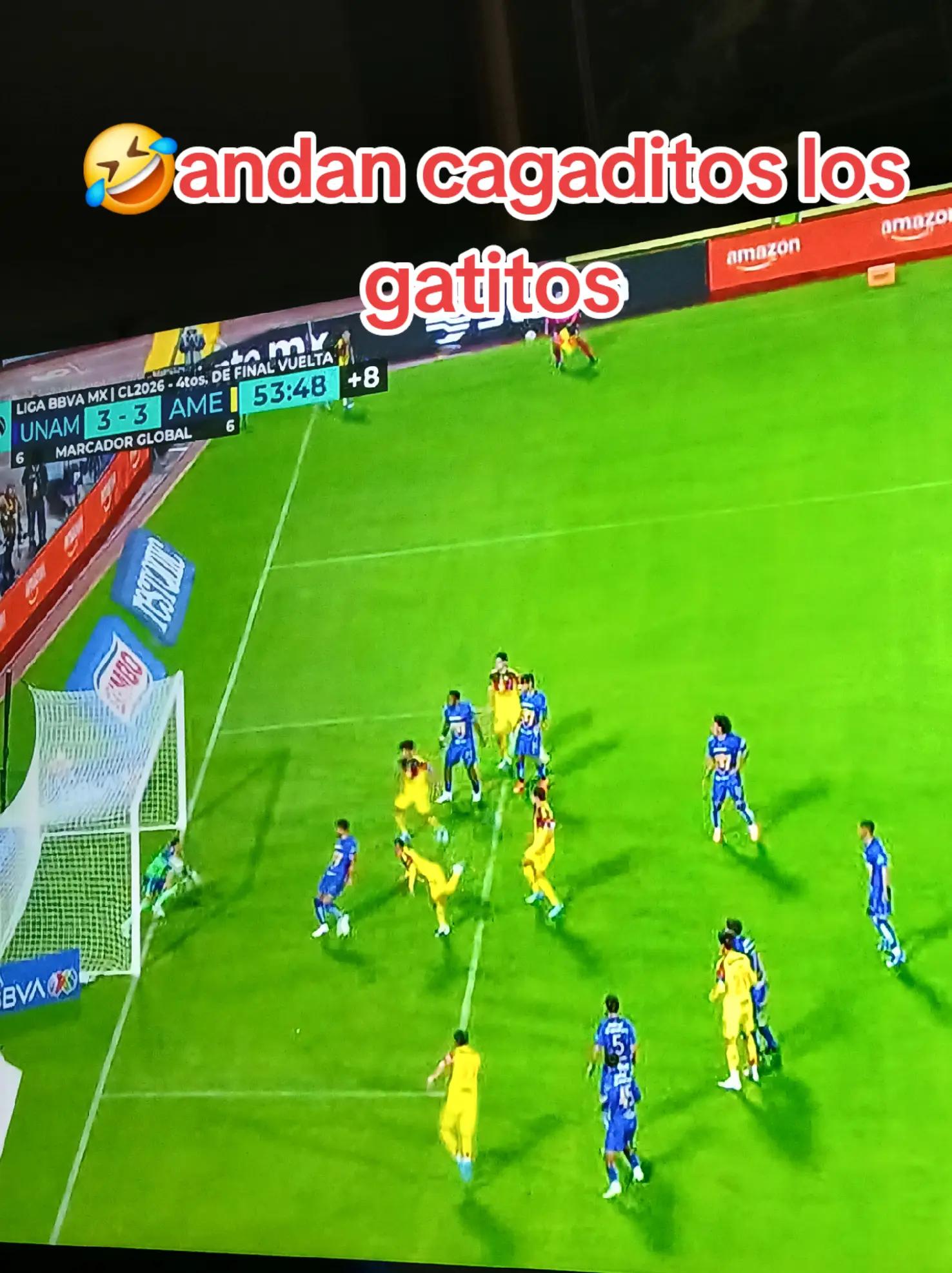 @americanista💯