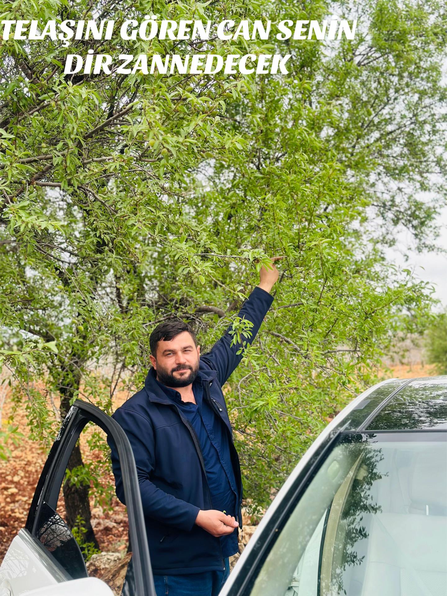 @Müslüm Altındağ