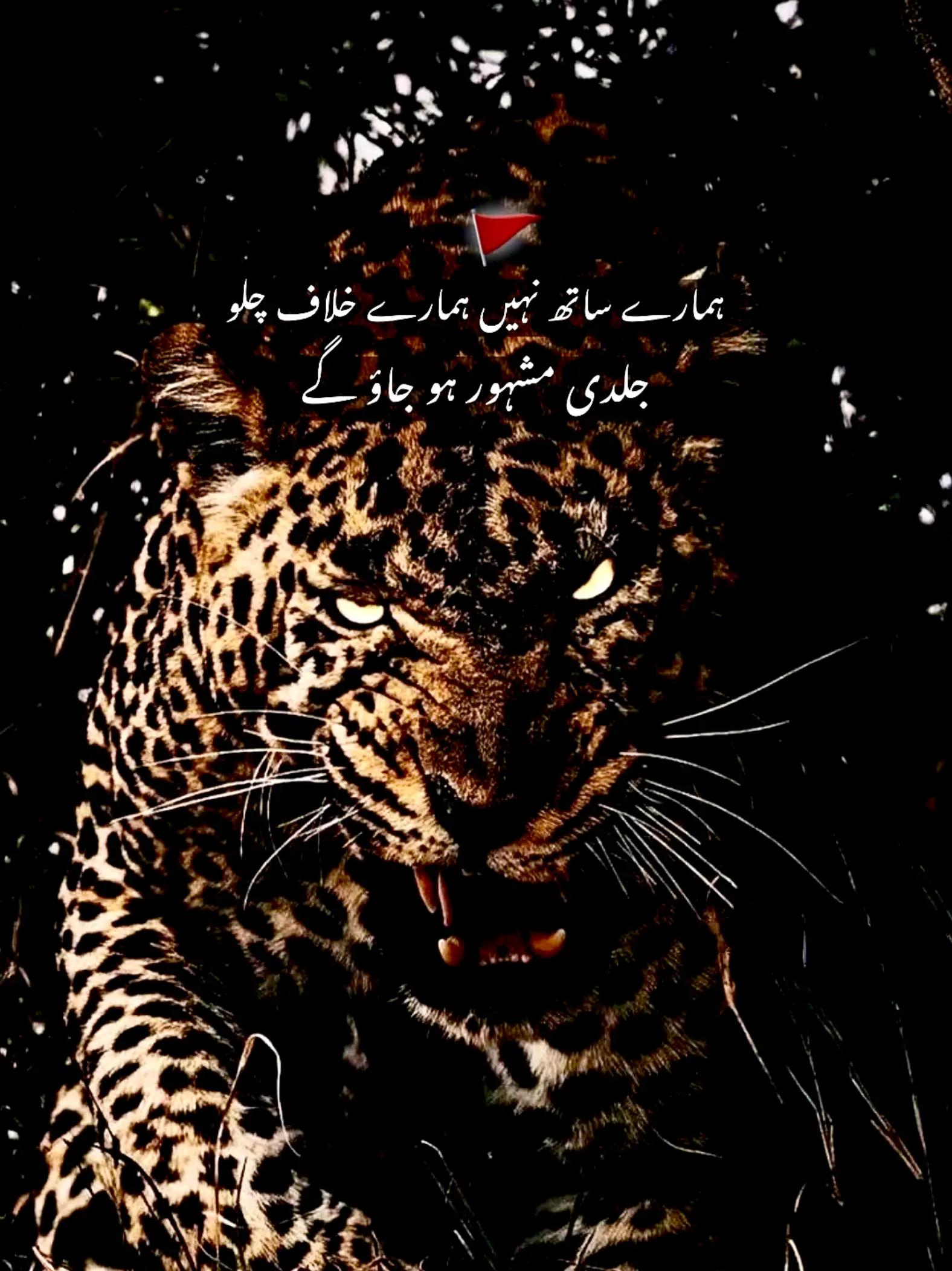 @🏴☠️❤️🔥༒ALIRAZAᴮᴼˢˢ🔱🚩⚔️