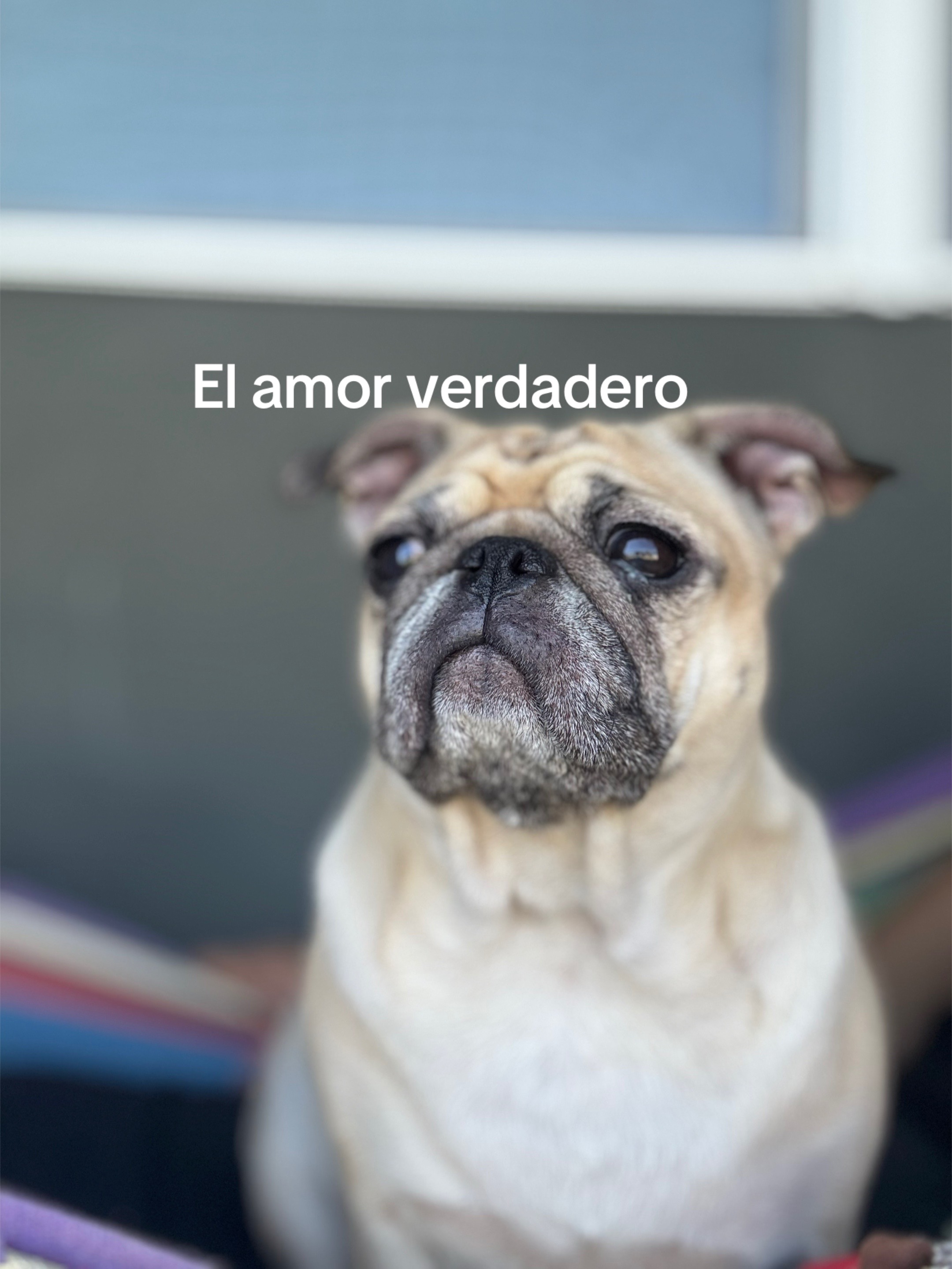 @Maria