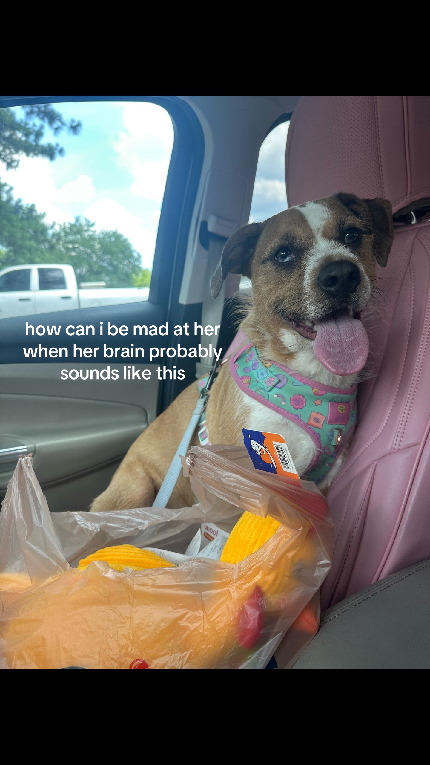 @liz