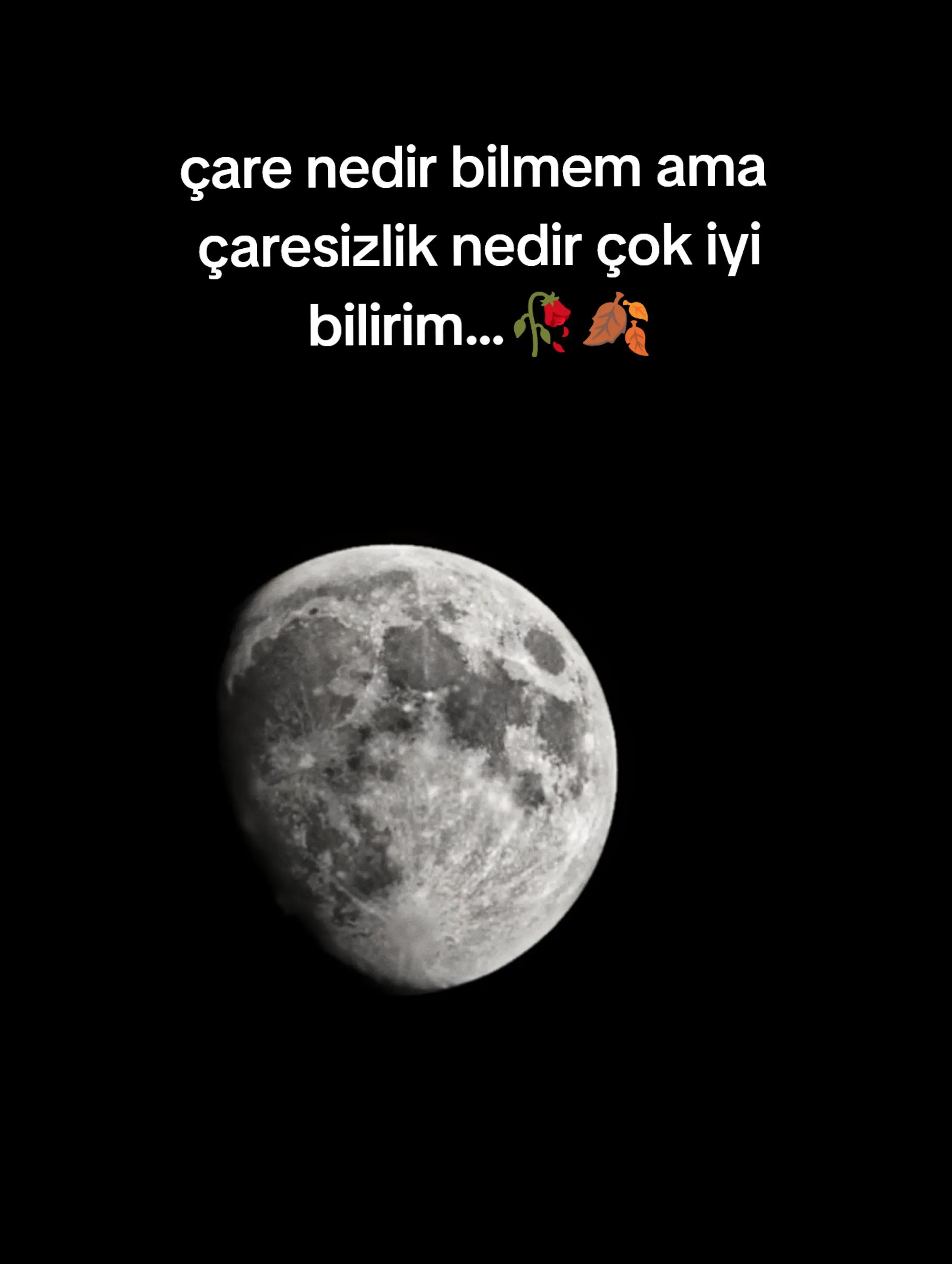 @👑2 SAMİ AVCI⚔️