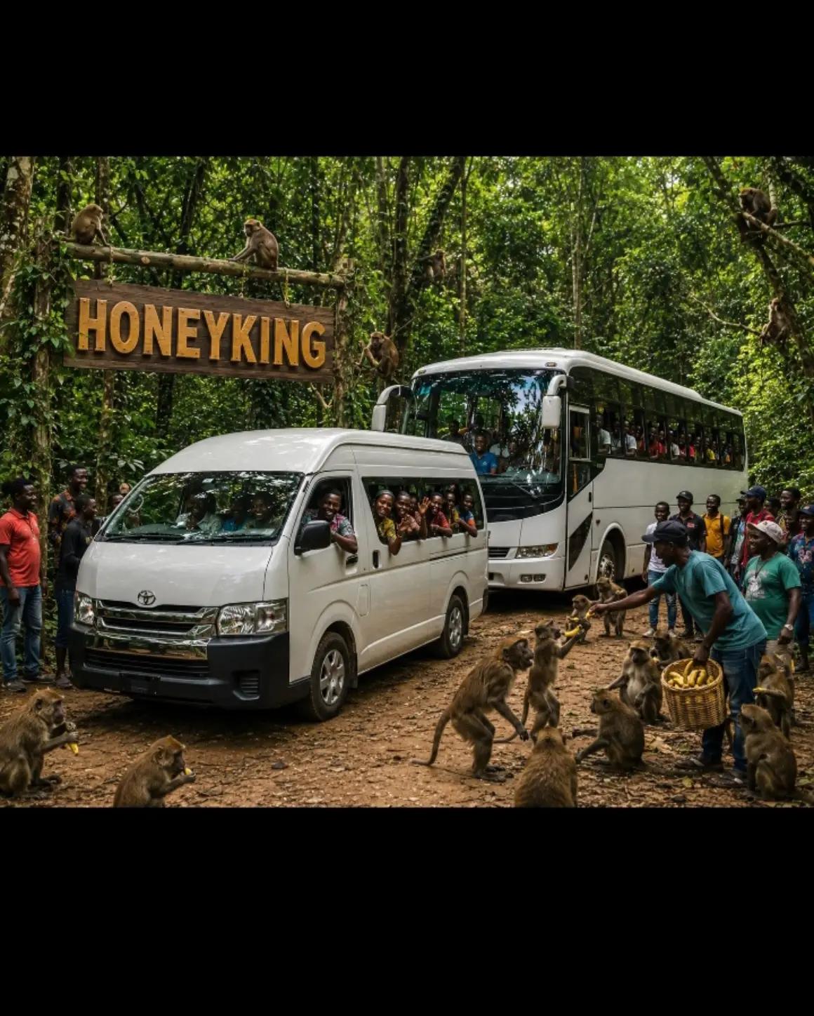@Honeyking